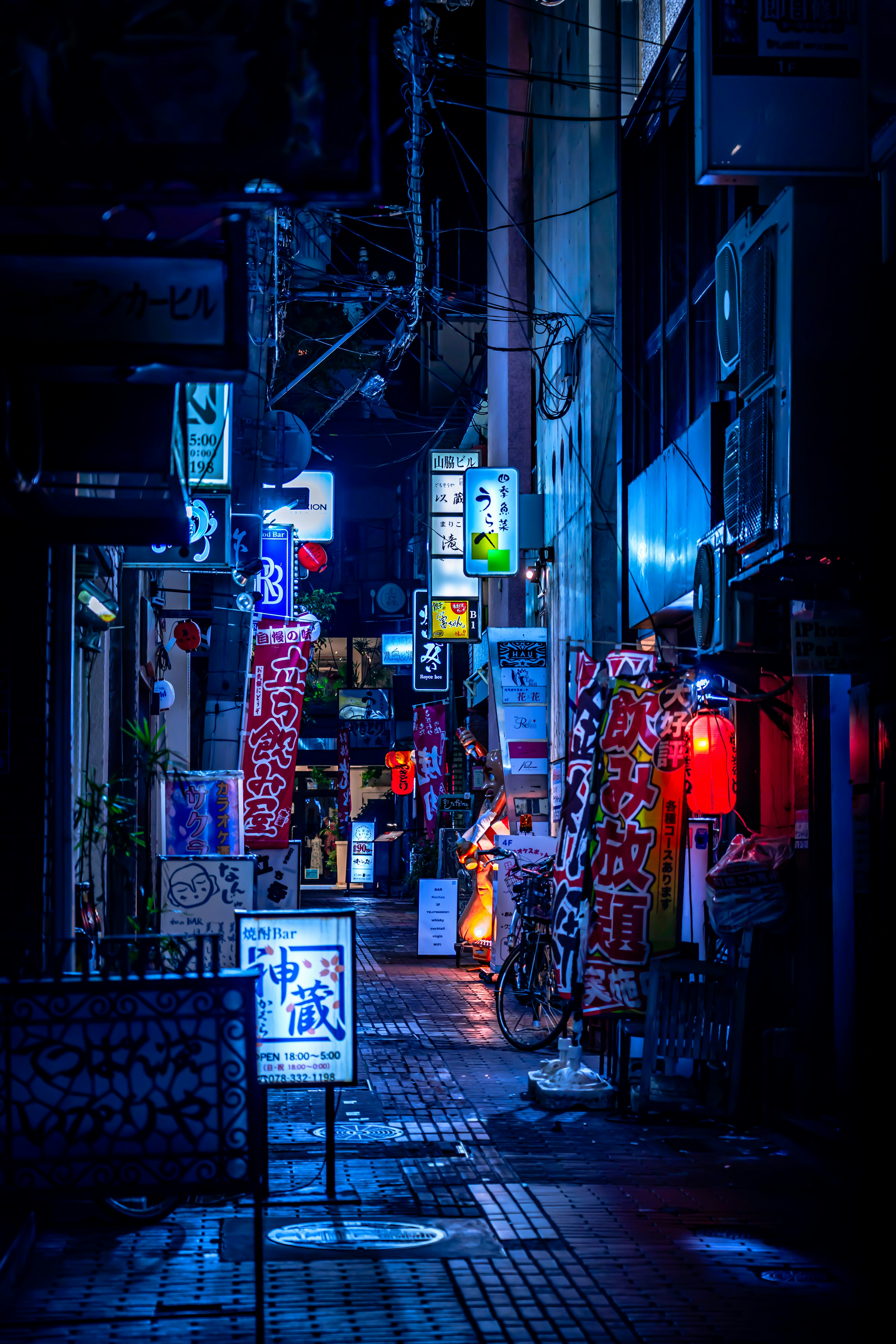 暗い路地に照らされたネオンの看板と赤い提灯が並ぶ独特な風景