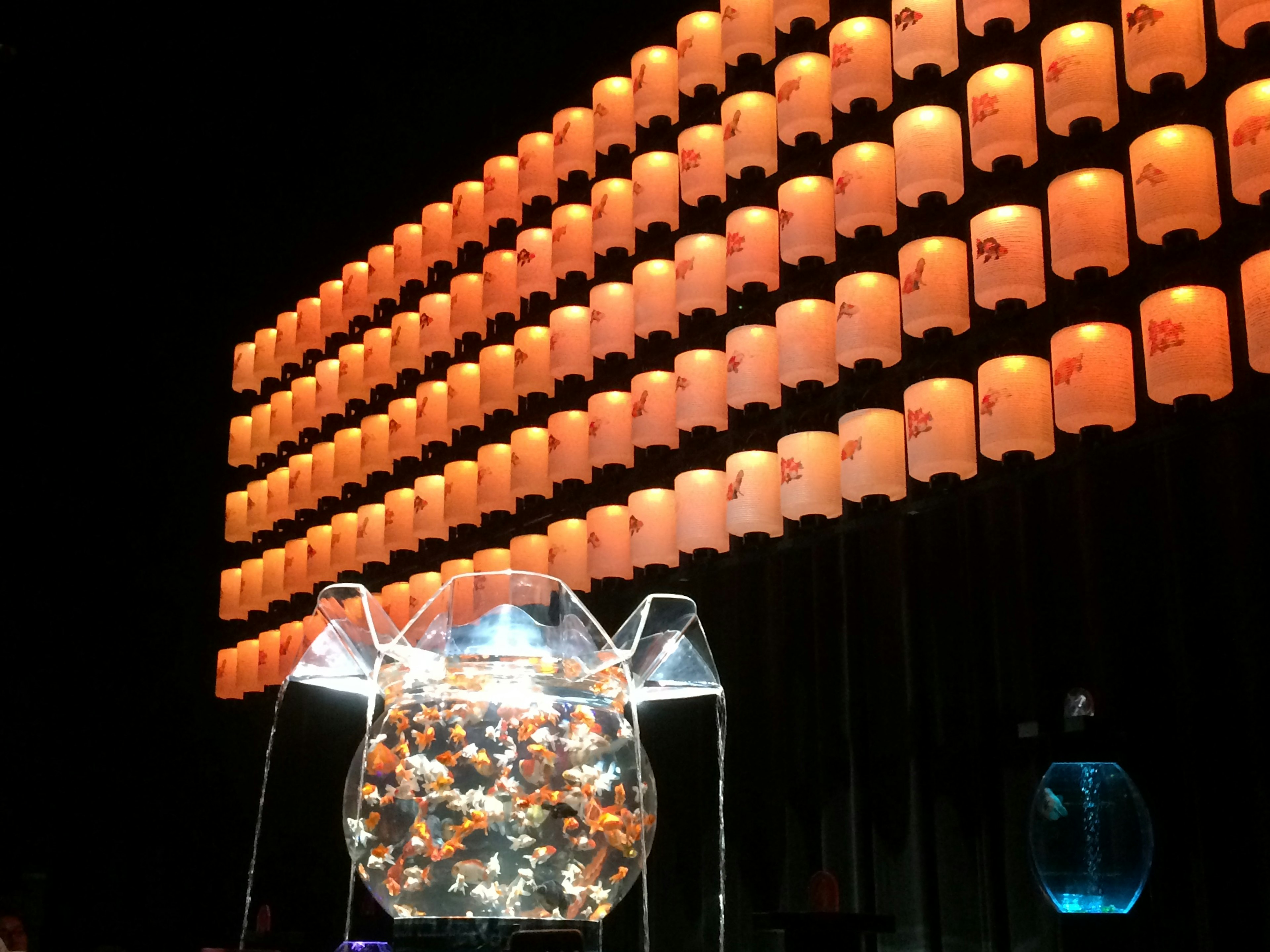 A transparent aquarium filled with goldfish surrounded by illuminated lanterns