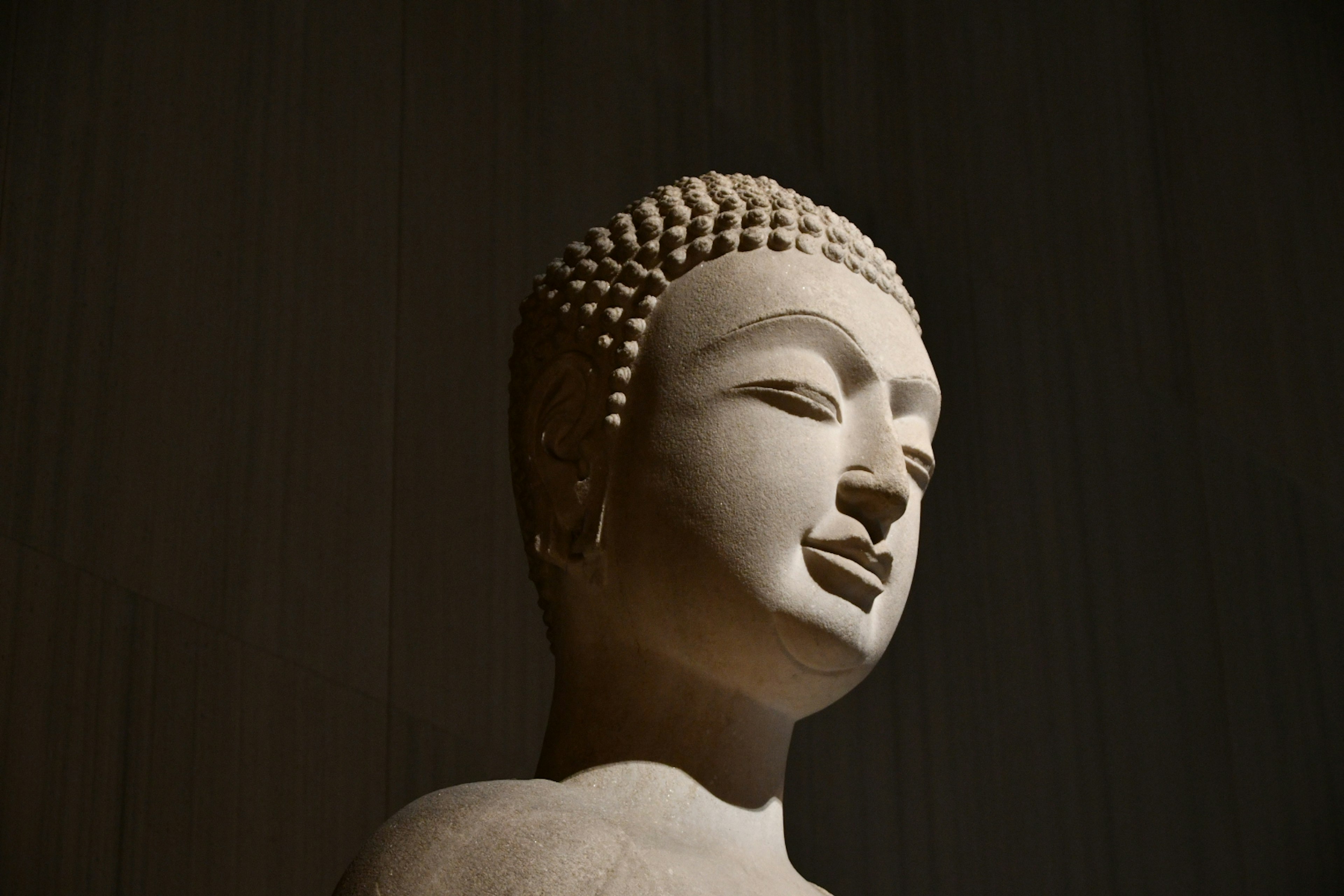 Image d'une statue de Bouddha vue de côté mettant en valeur la texture de la peau lisse et le design complexe des cheveux