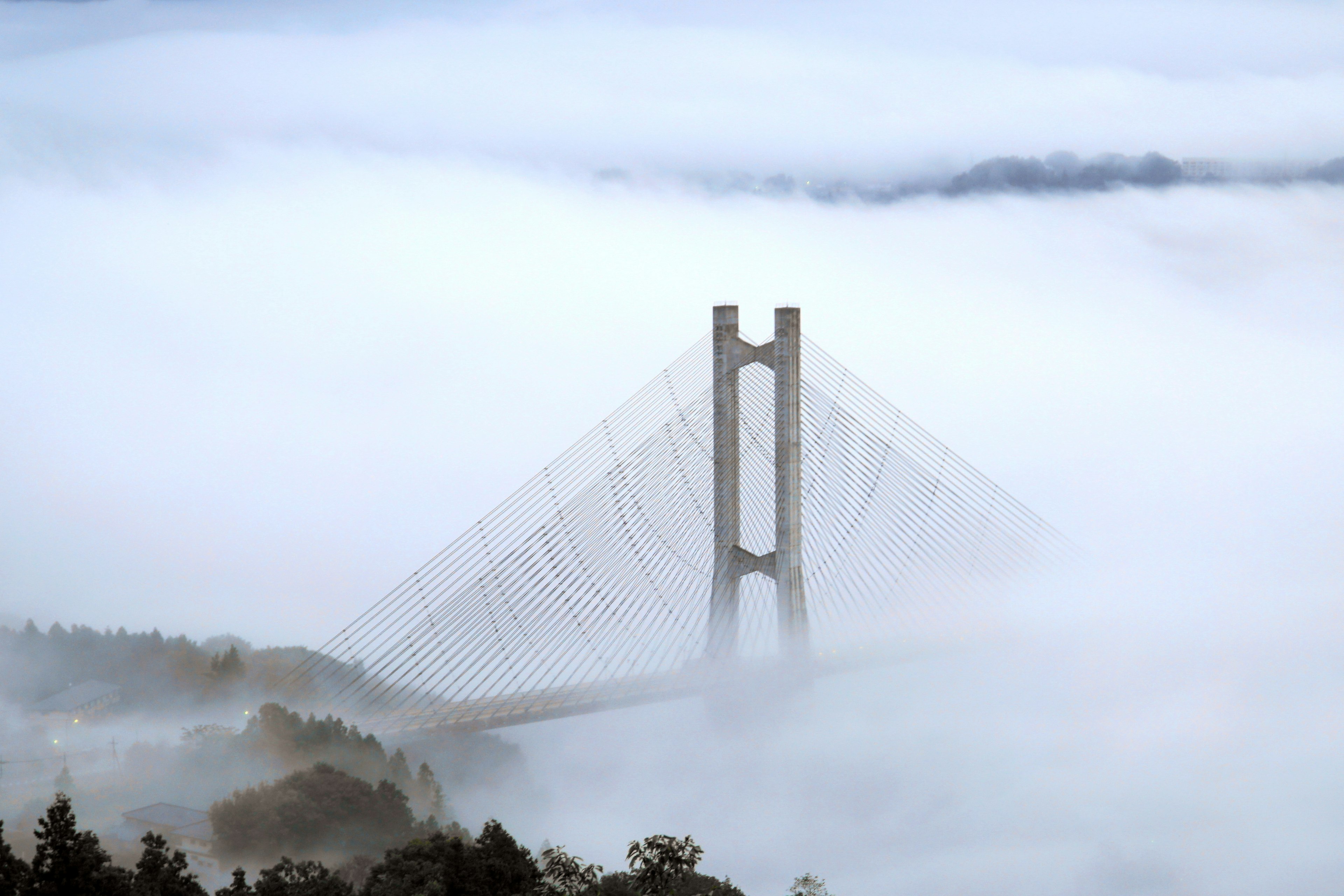 Brücke in Nebel gehüllt mit nahegelegenen Bäumen und Hügeln