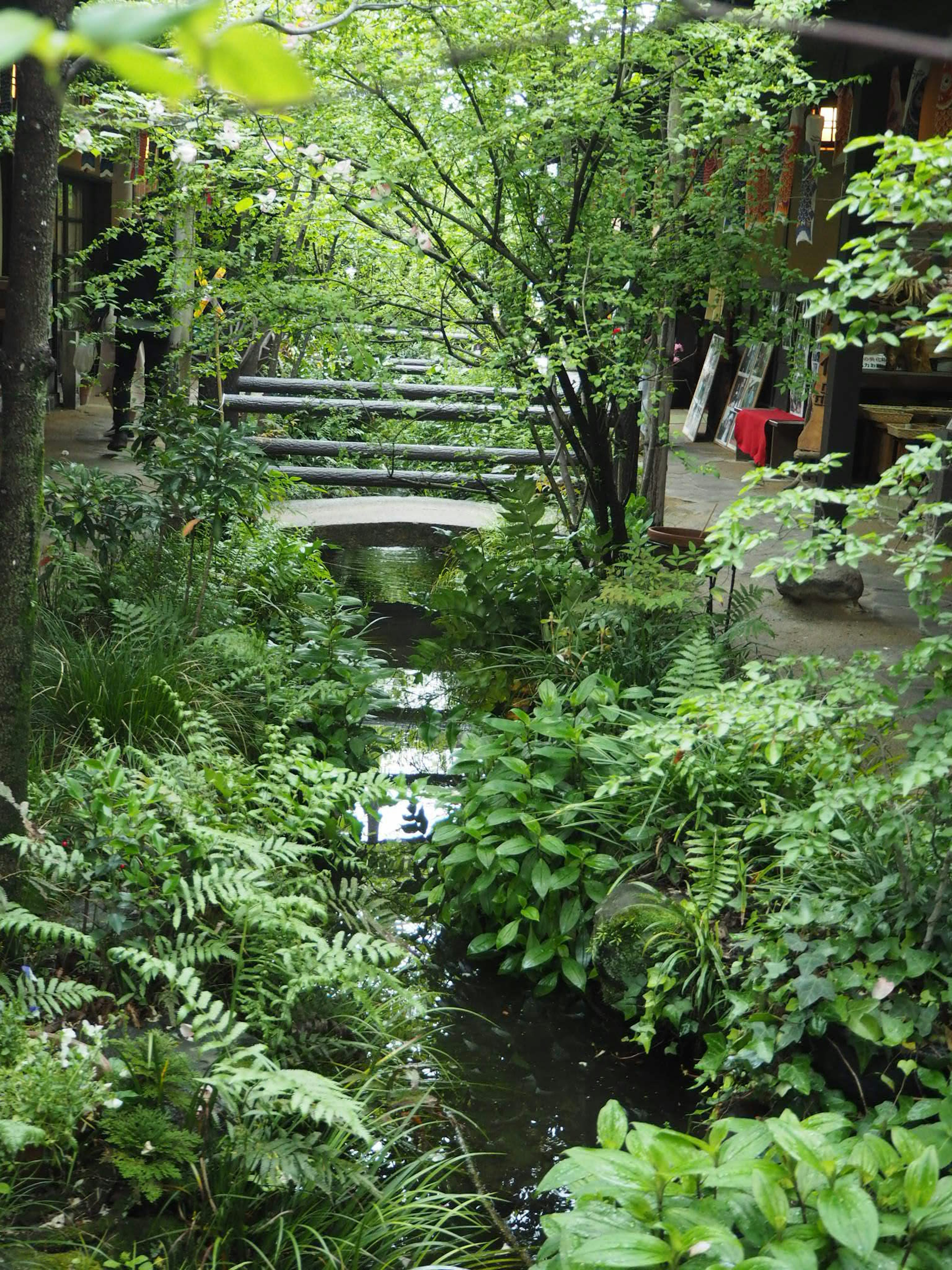 Lush garden scene with a stream and wooden bridge