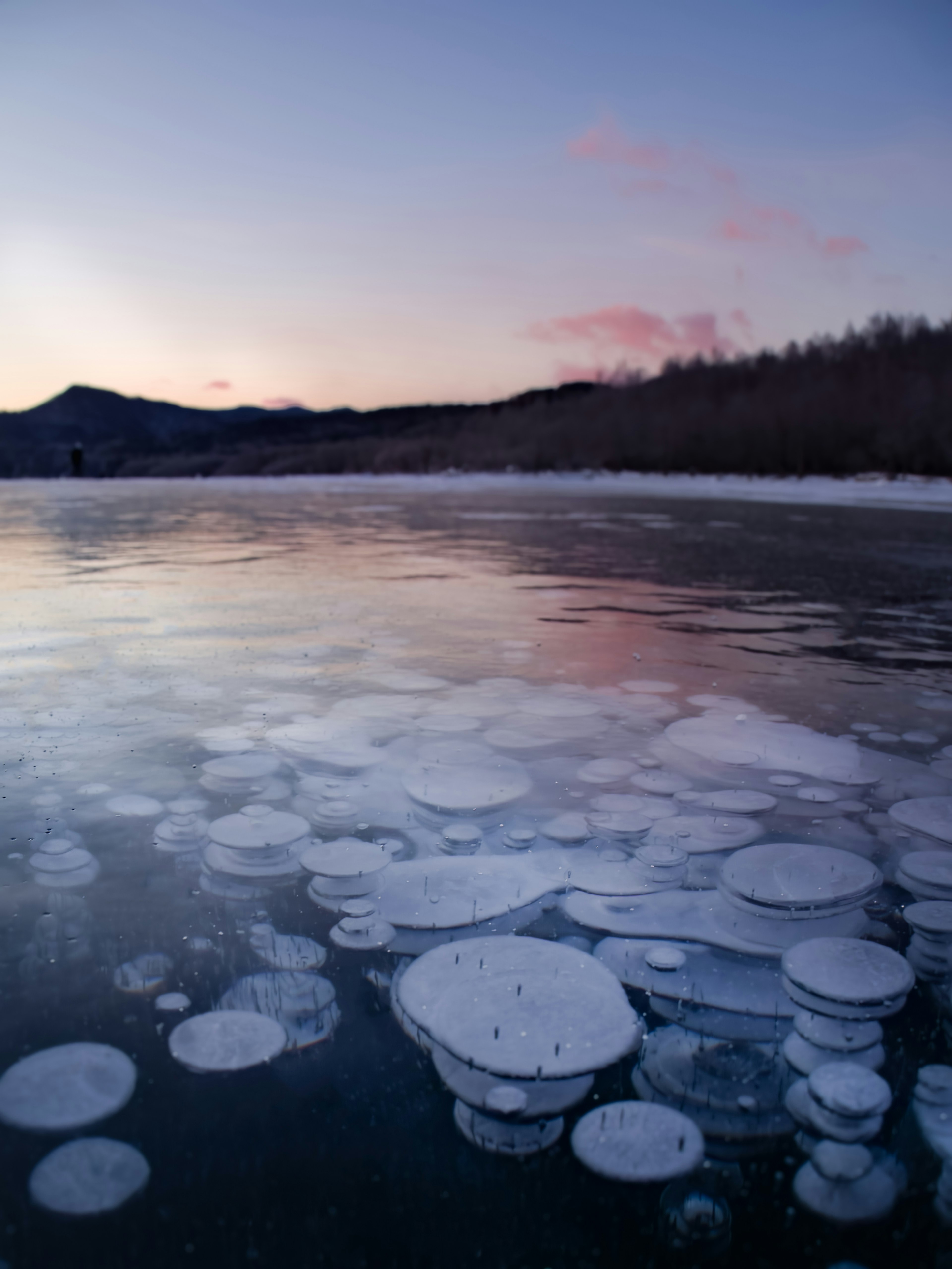 氷の上に浮かぶ泡のような氷の円が広がる静かな湖の風景