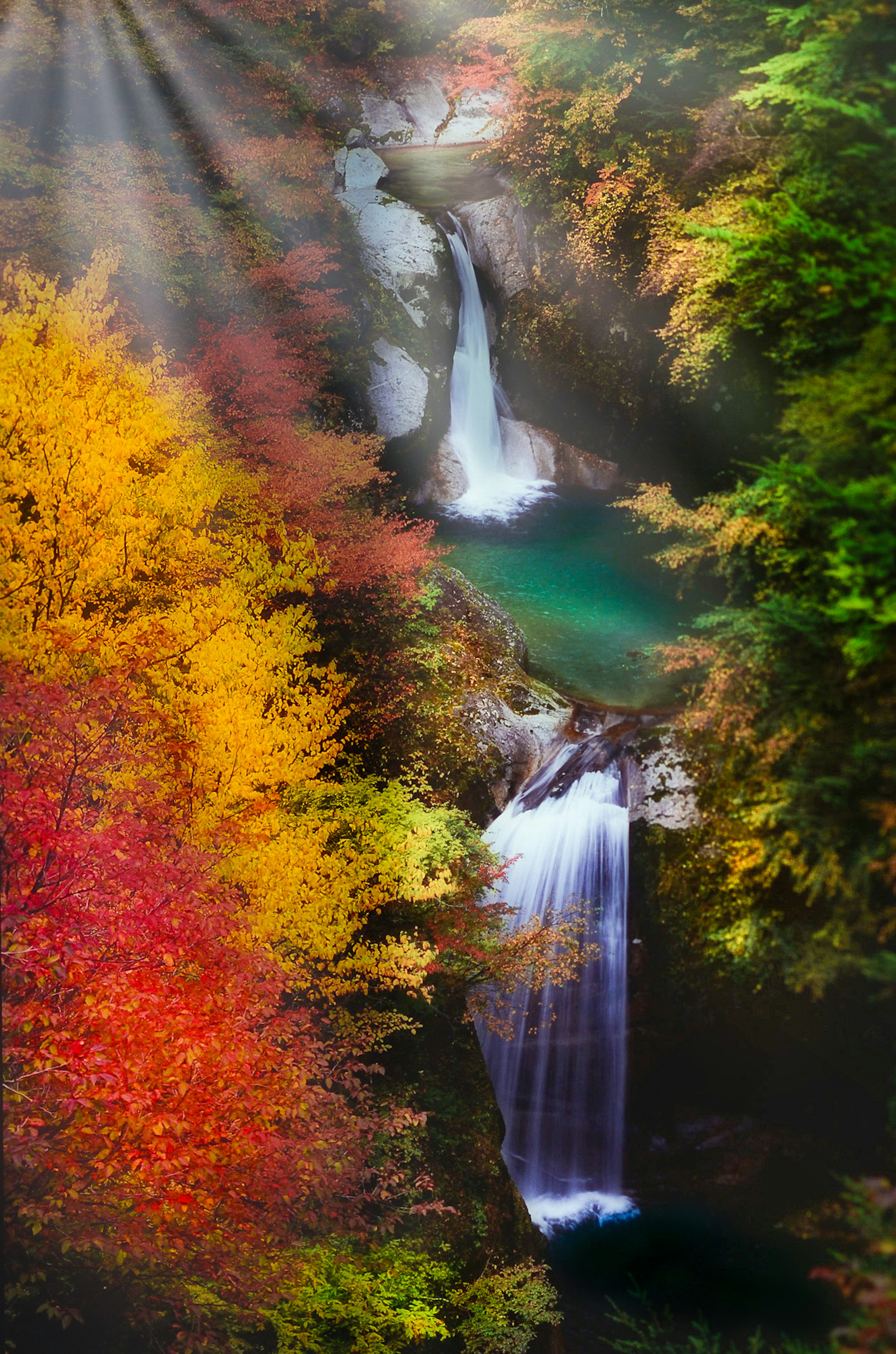 美しい滝と色鮮やかな秋の葉が広がる風景