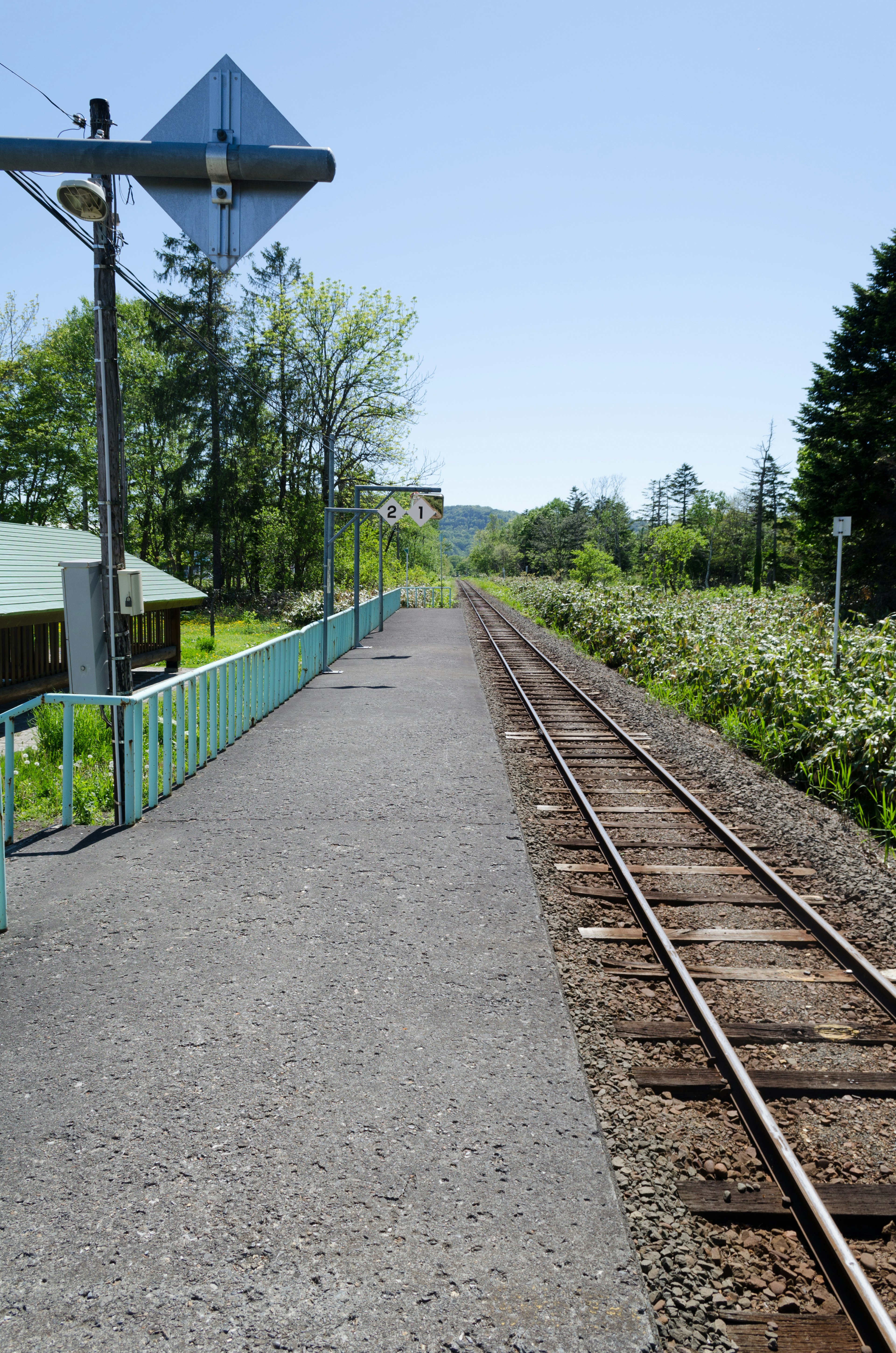 Railway station platform surrounded by lush greenery