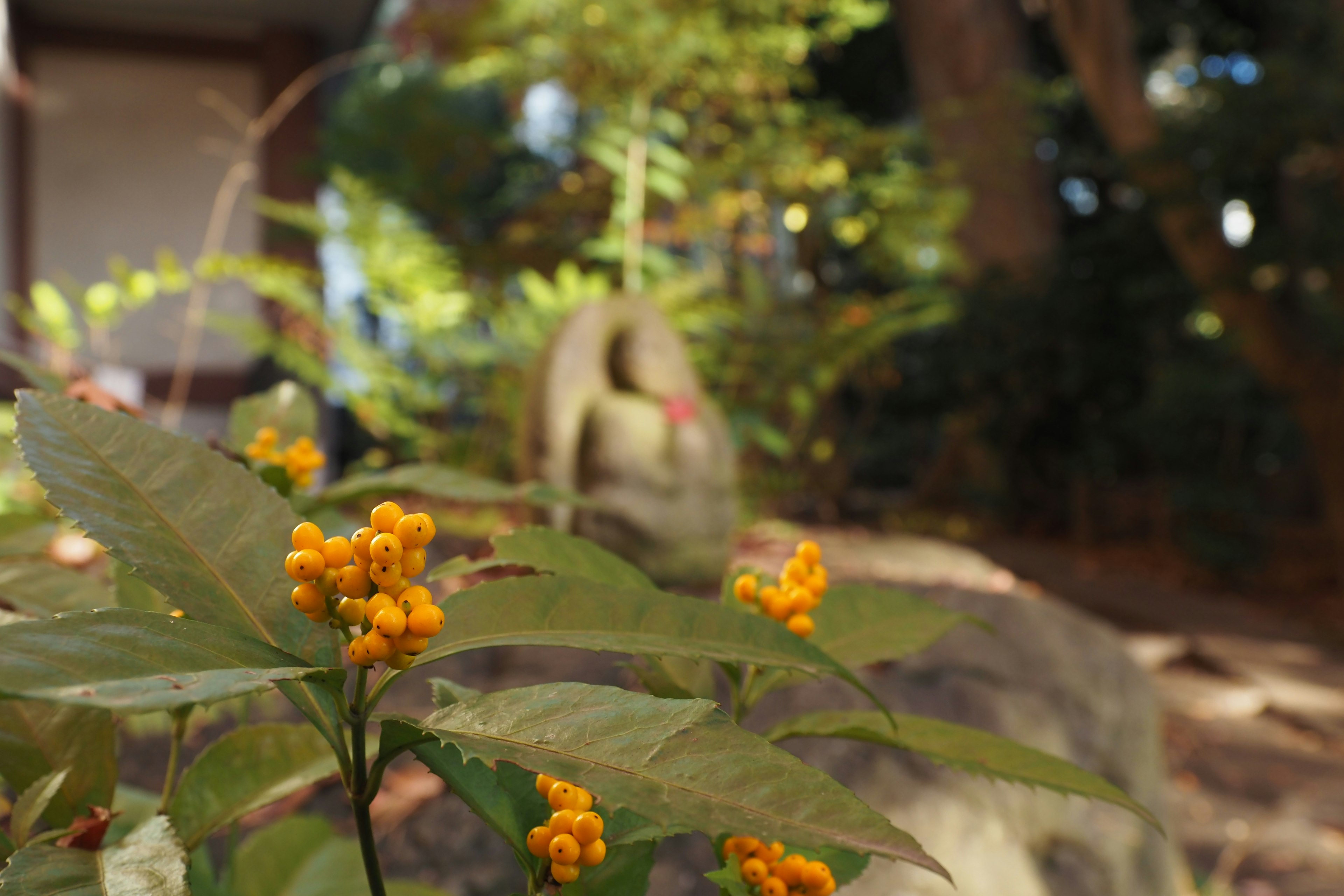 庭の黄色い花と背景の石像が見える自然の景色