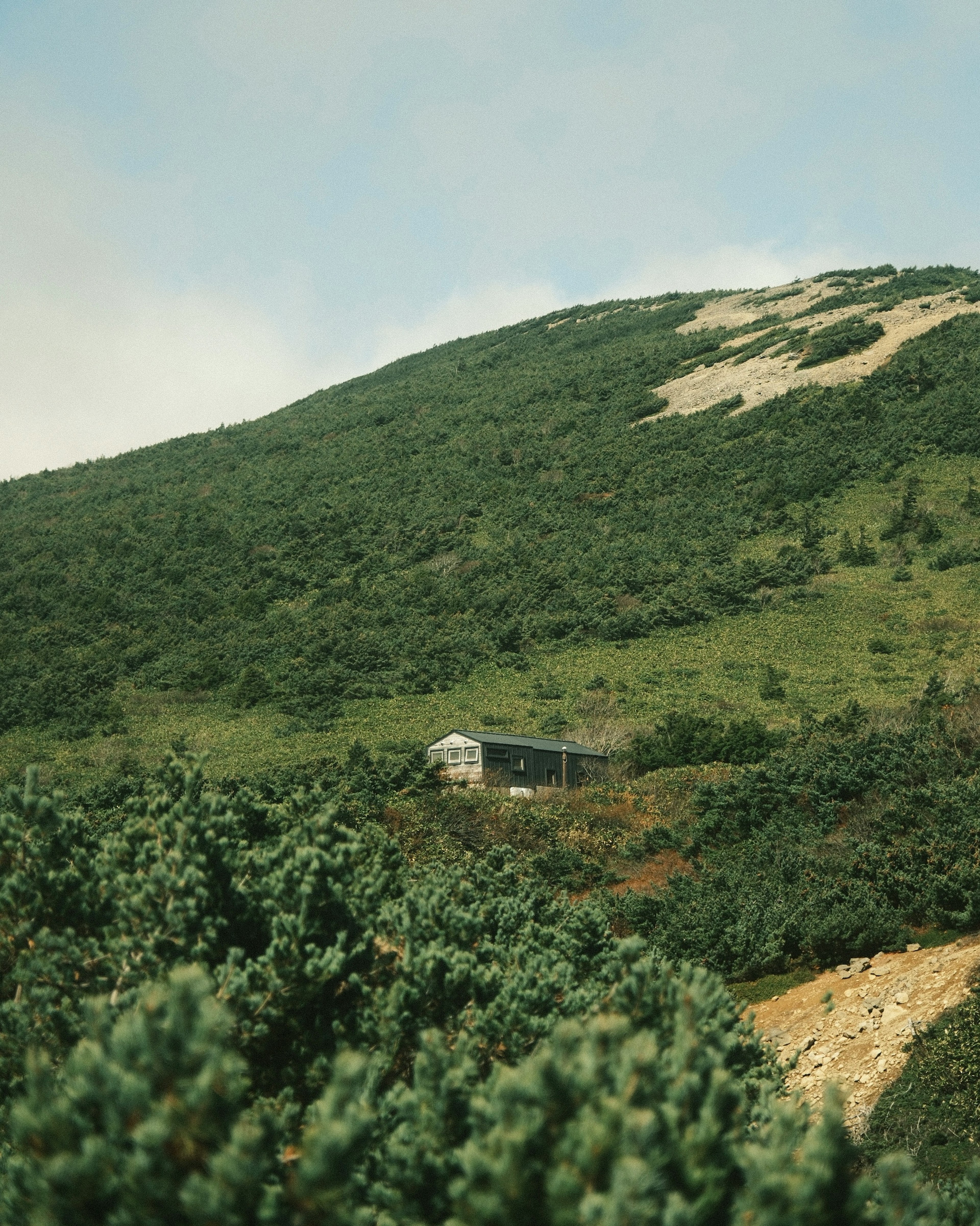 Small house on a lush green hillside with surrounding vegetation