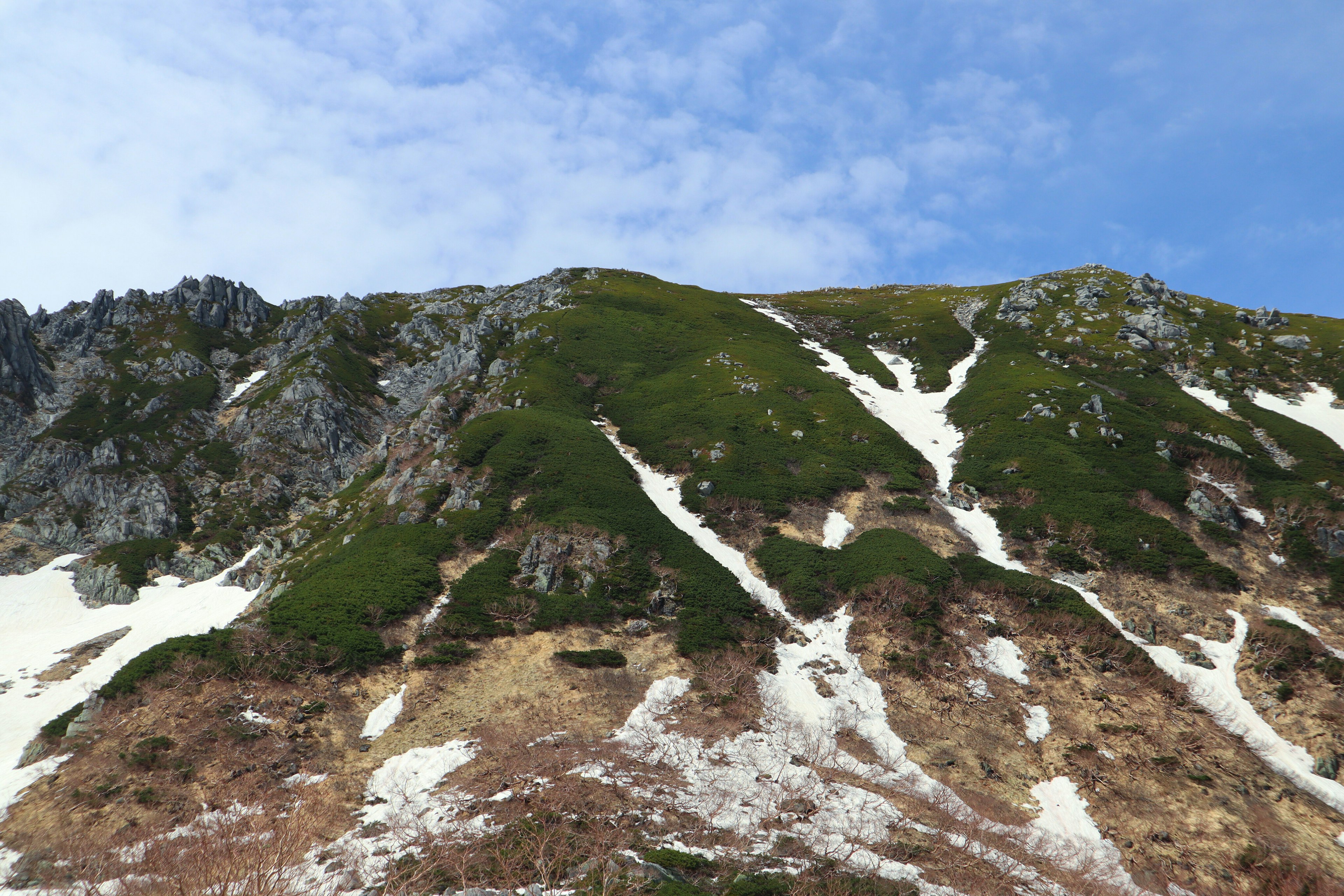 雪解けと緑の草が見える山の風景