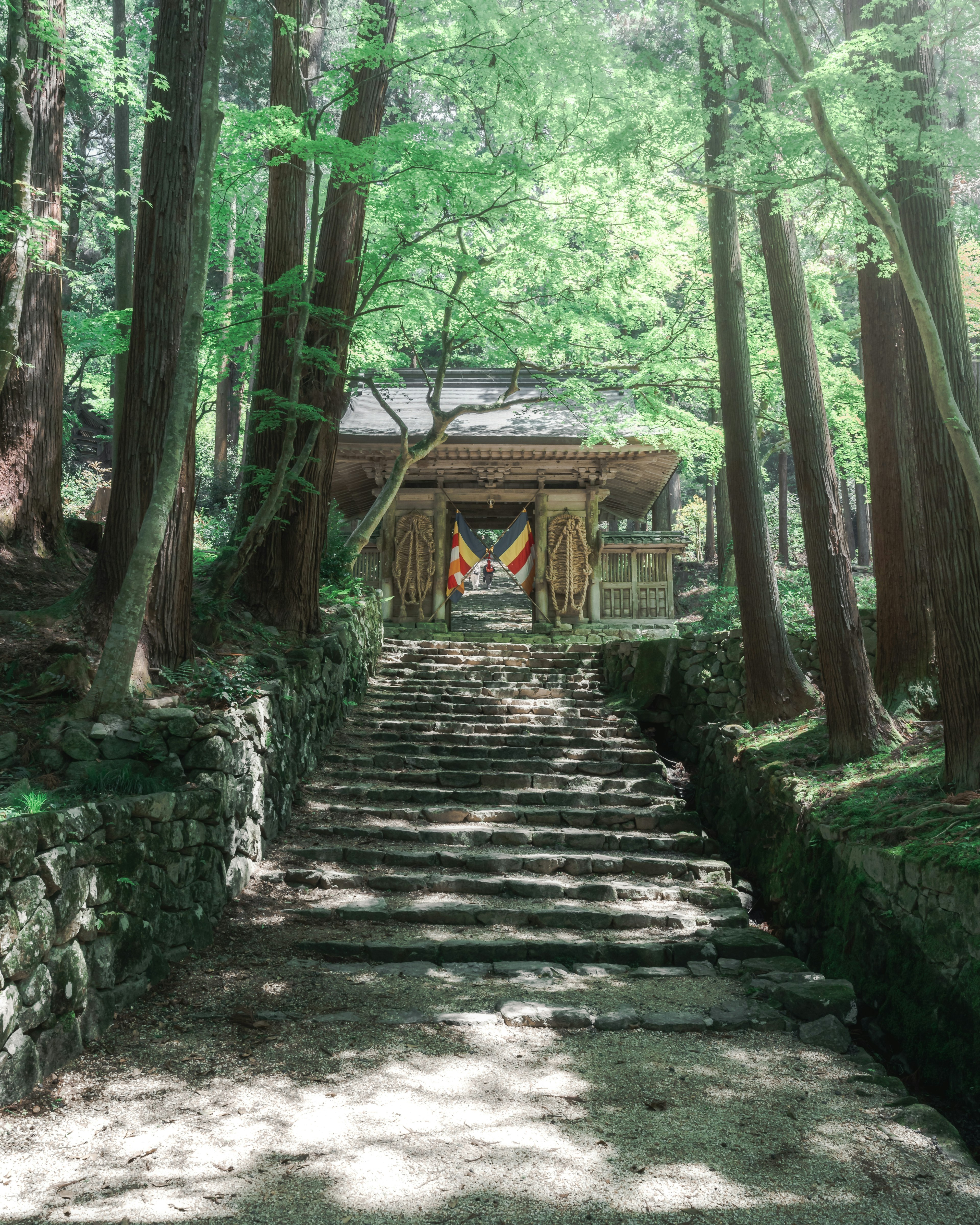 A wooden structure at the top of stone steps surrounded by greenery