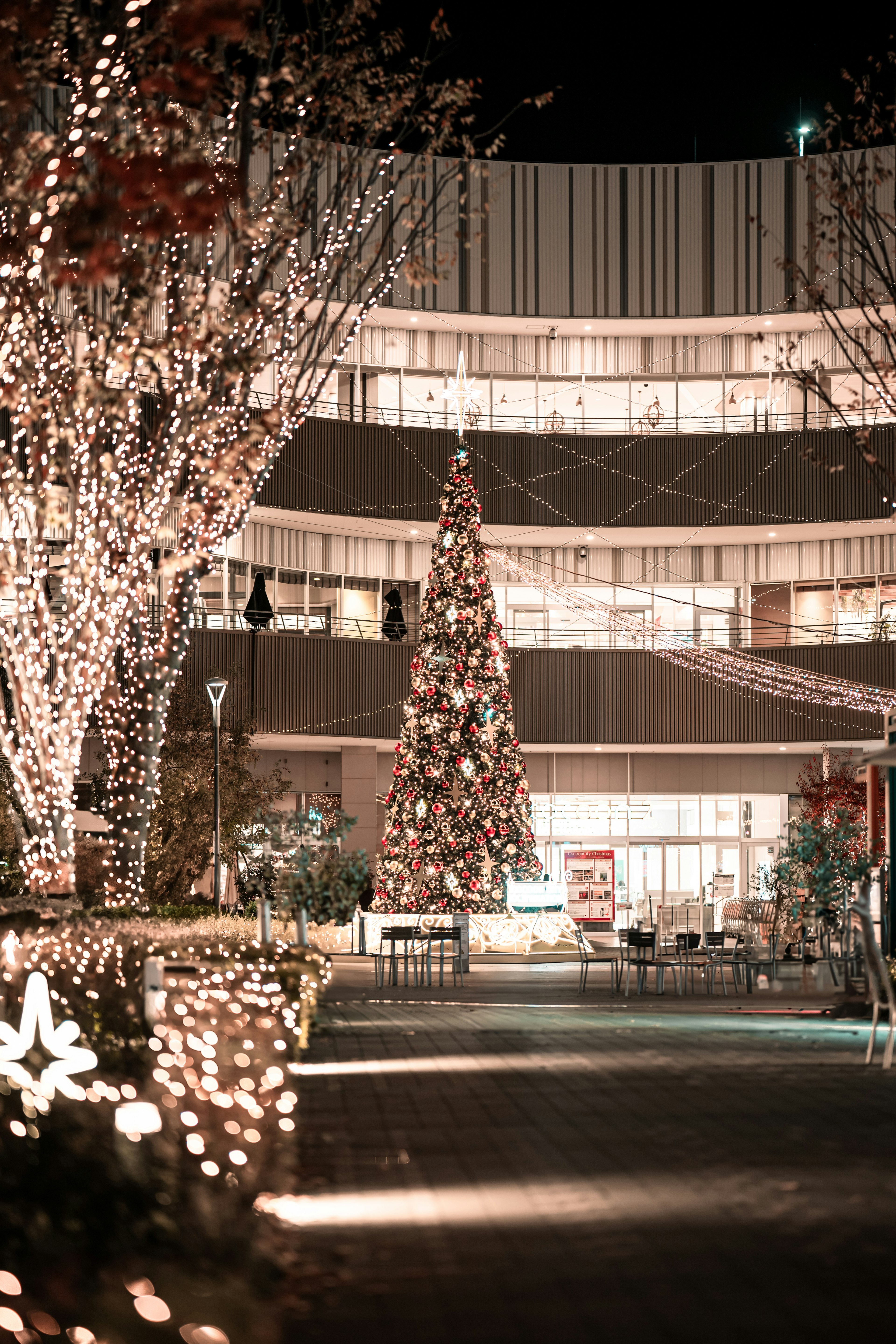 Vista notturna di un albero di Natale e decorazioni illuminate su un edificio