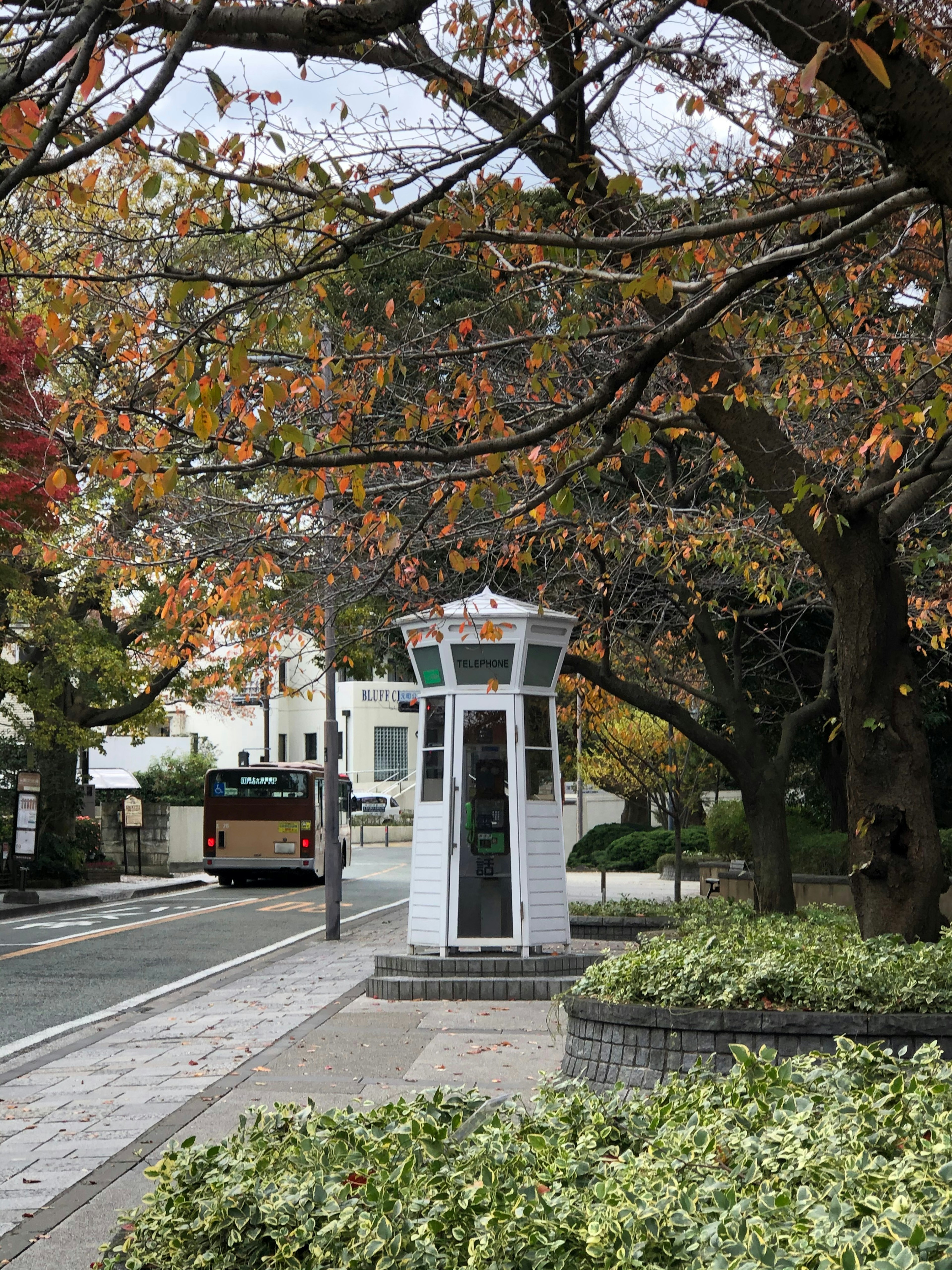 Une cabine téléphonique dans un parc entourée d'arbres colorés