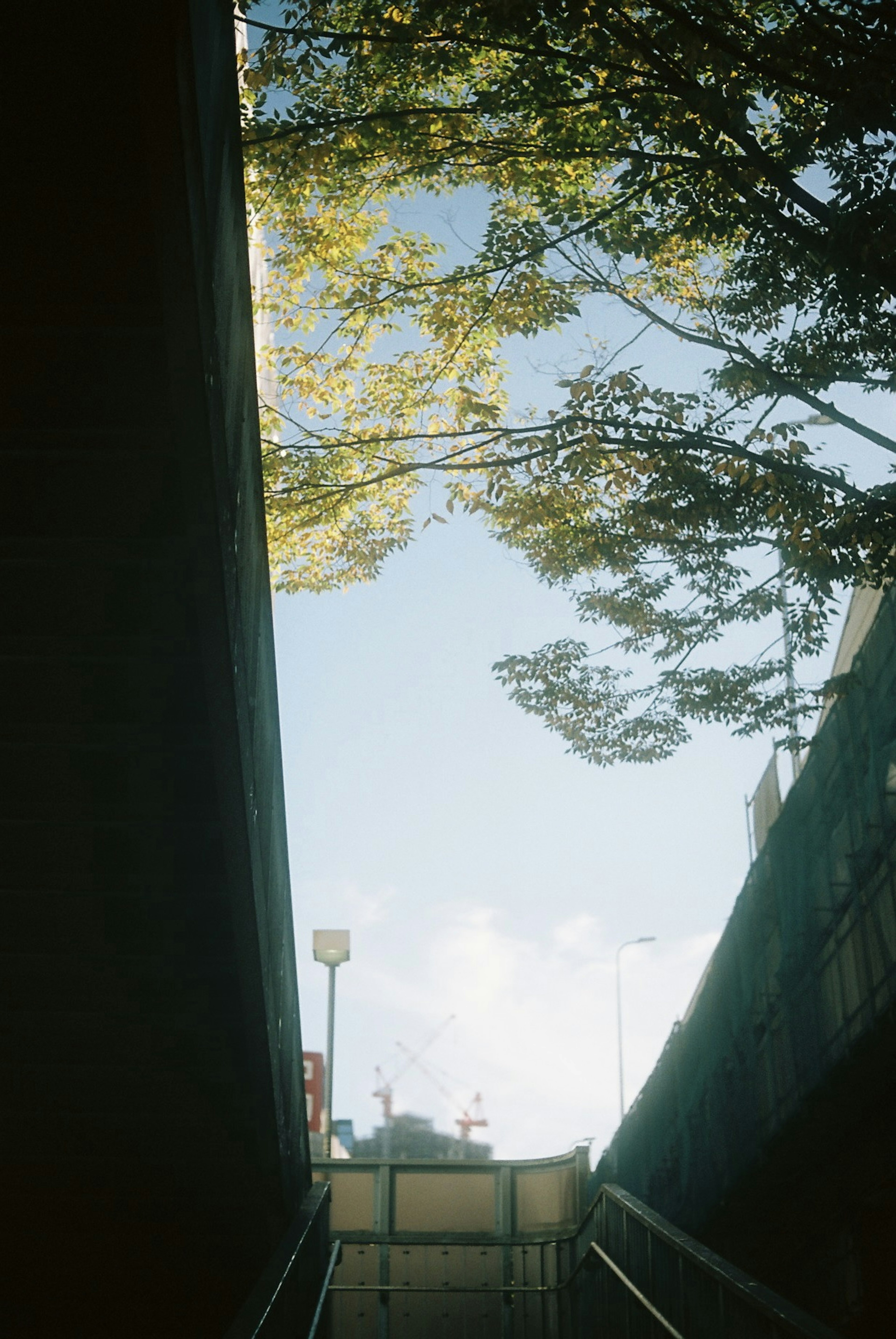 階段の上に向かう道と青空が見える風景