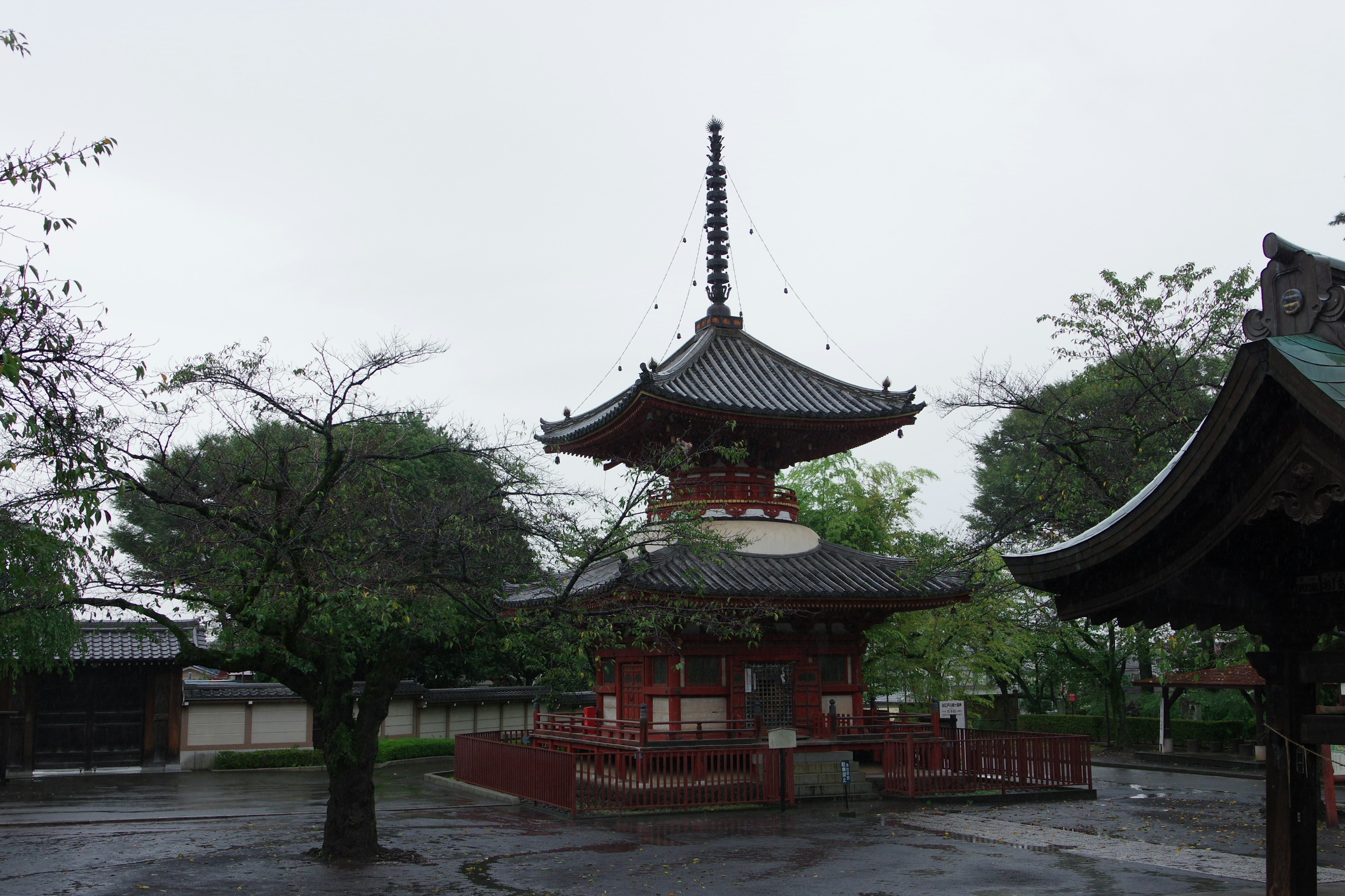 Red pagoda surrounded by green trees in the rain