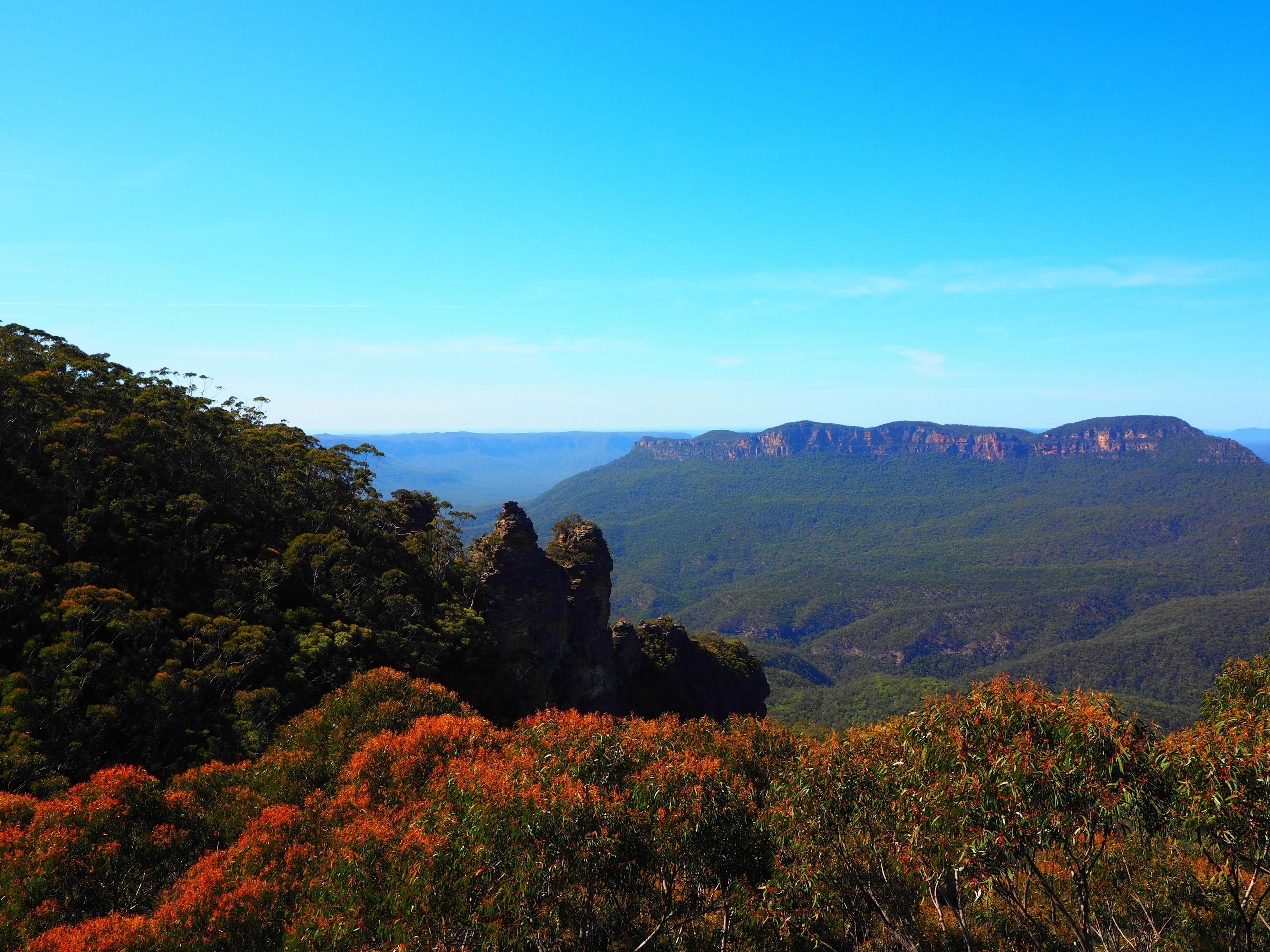 Vue panoramique de montagnes vertes et de feuillage orange sous un ciel bleu