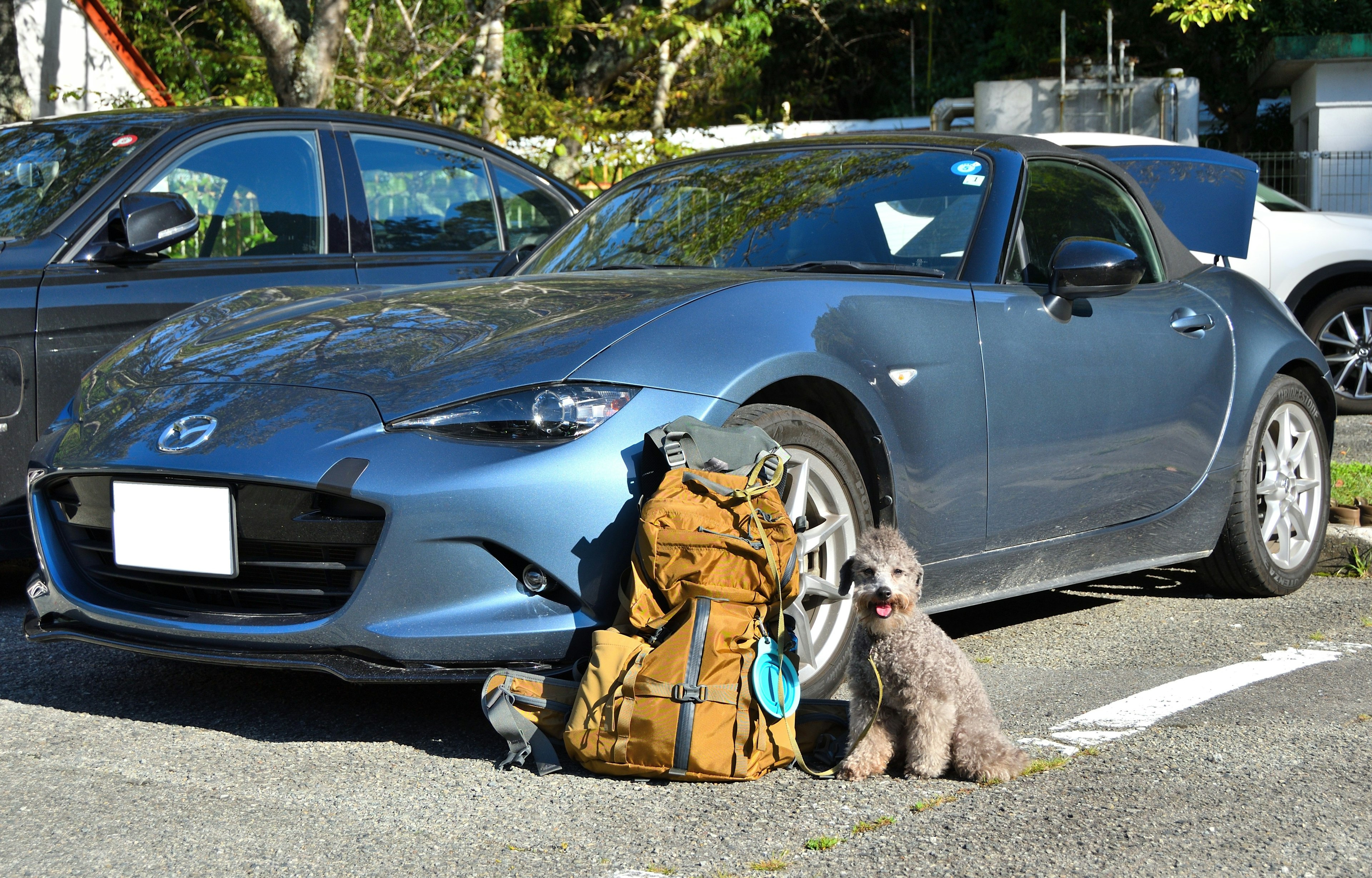 Voiture de sport Mazda bleue garée à côté d'un sac à dos et d'un chien assis à proximité