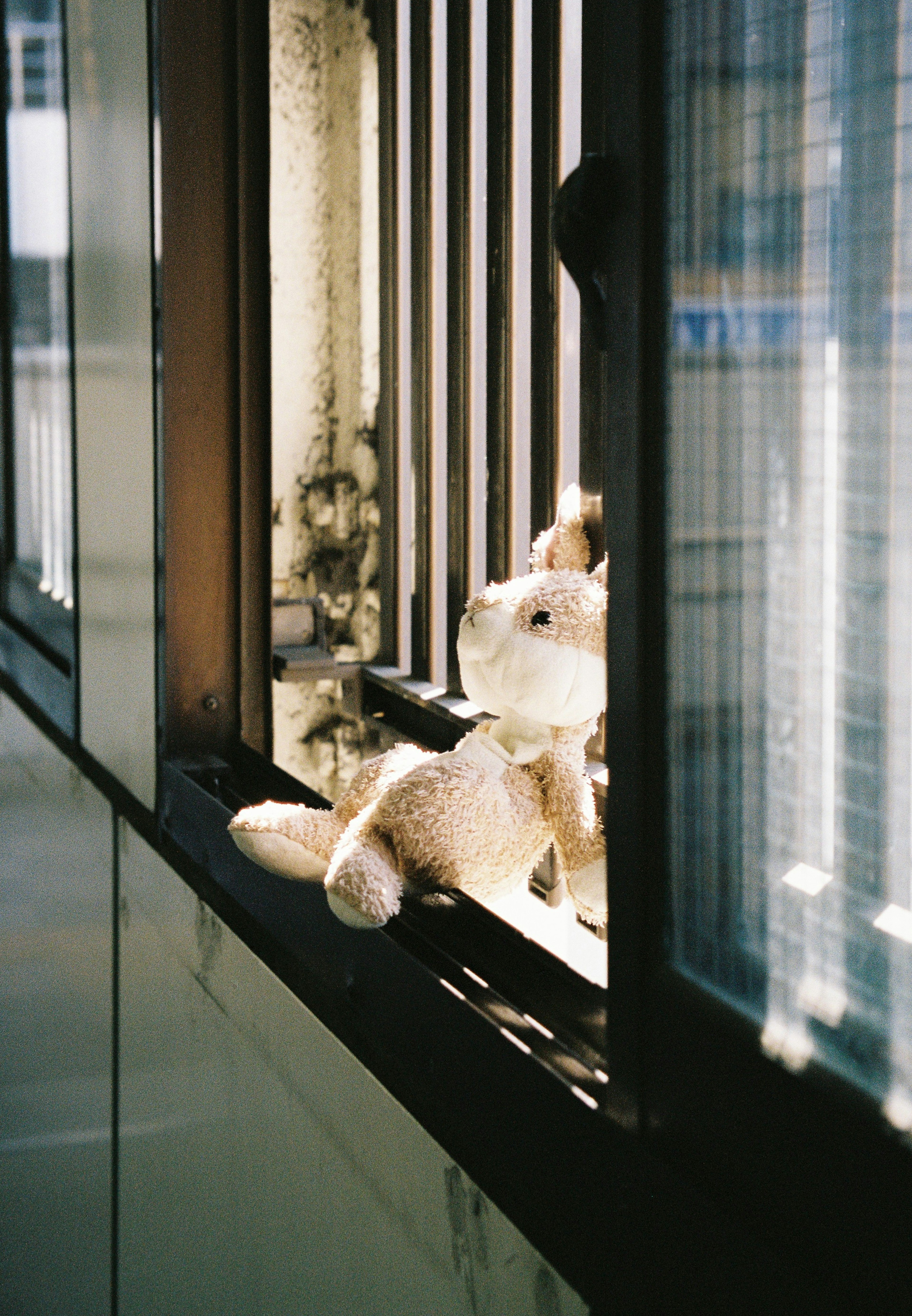 Un lapin en peluche regardant par une fenêtre