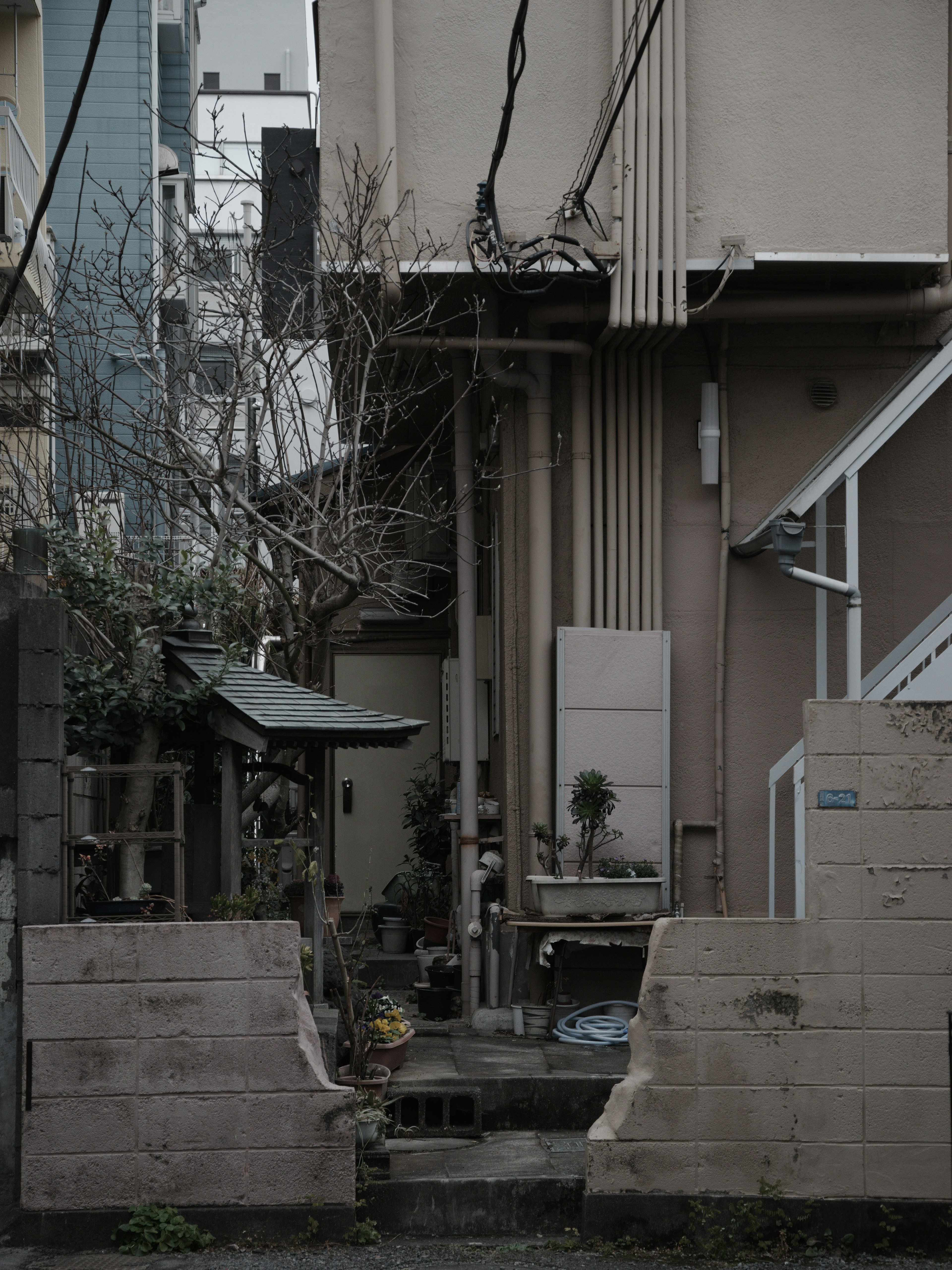 Callejón estrecho con el exterior de un edificio y un árbol marchito