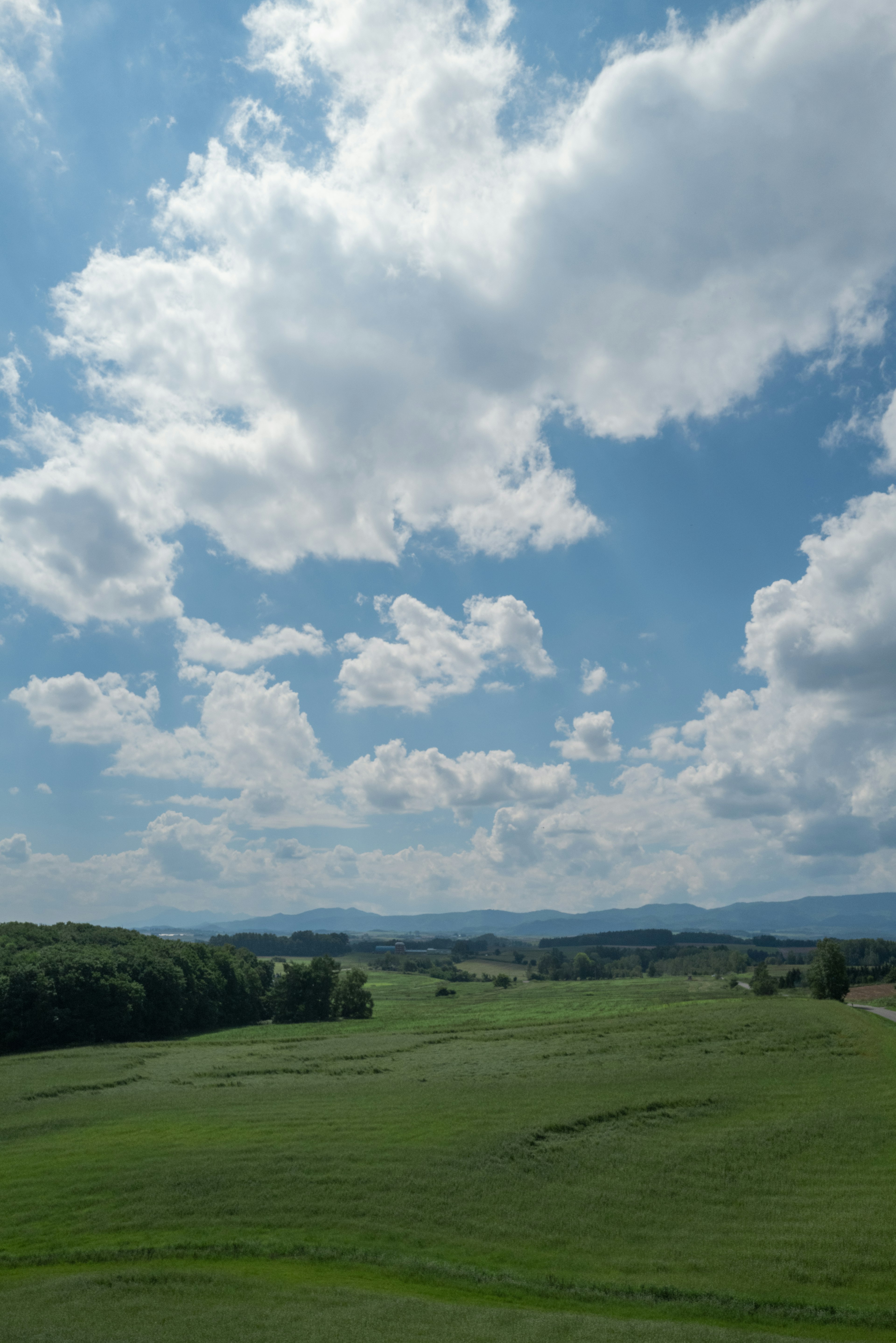 Lush green hills under a blue sky with fluffy white clouds