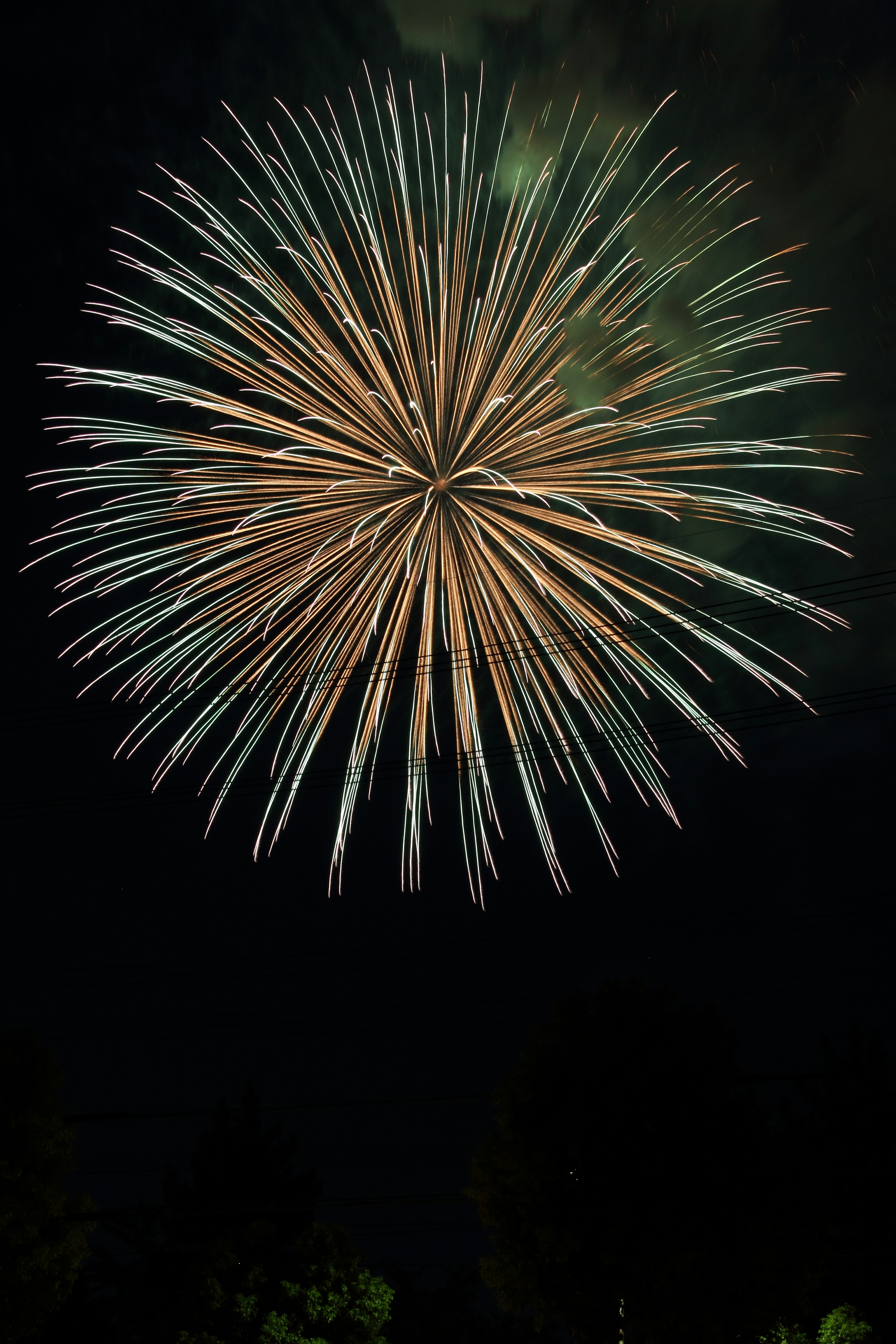 Une grande explosion de feu d'artifice s'étendant dans le ciel nocturne