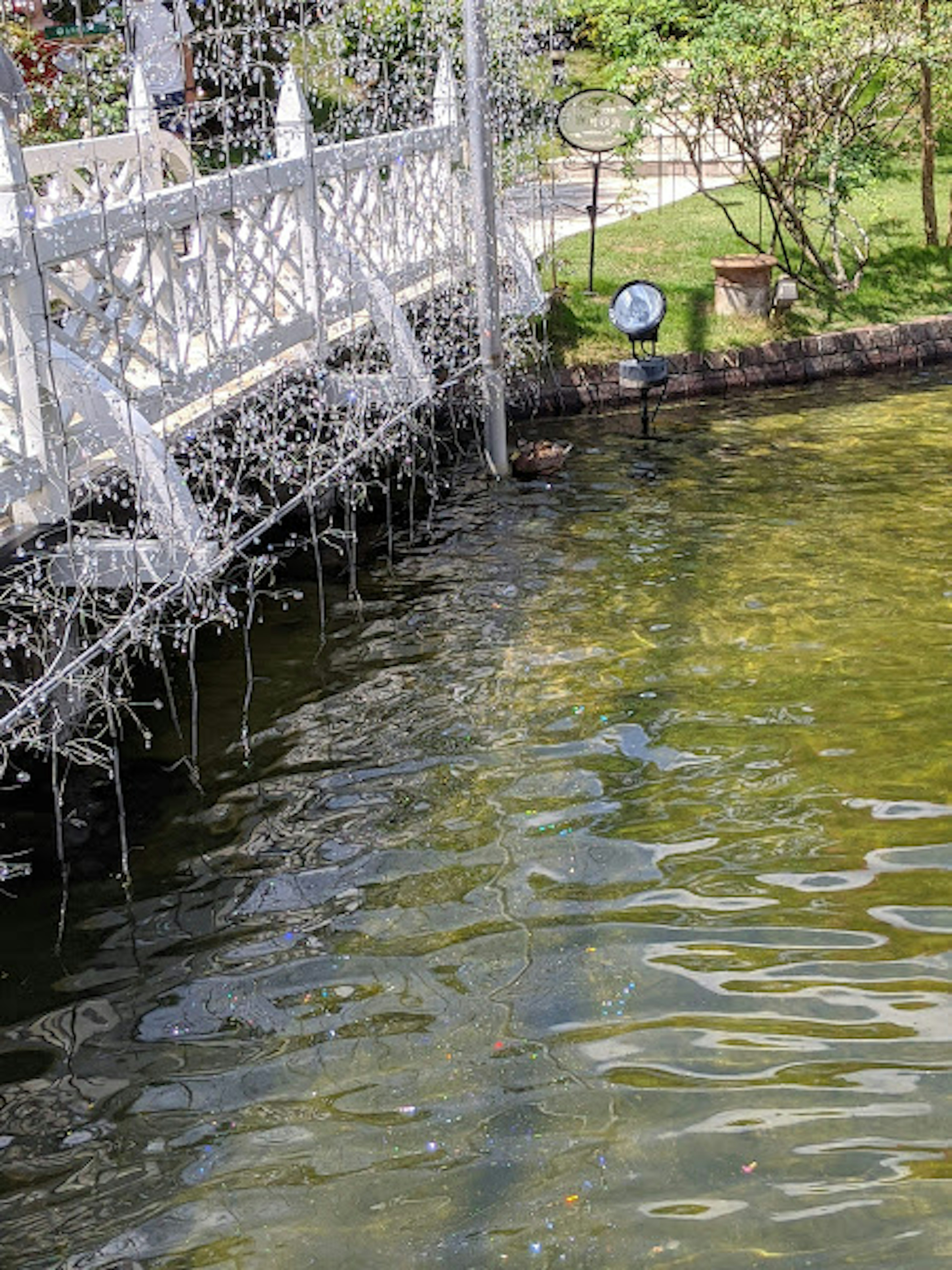 Vue pittoresque d'un pont blanc sur un étang vert avec des reflets sur l'eau