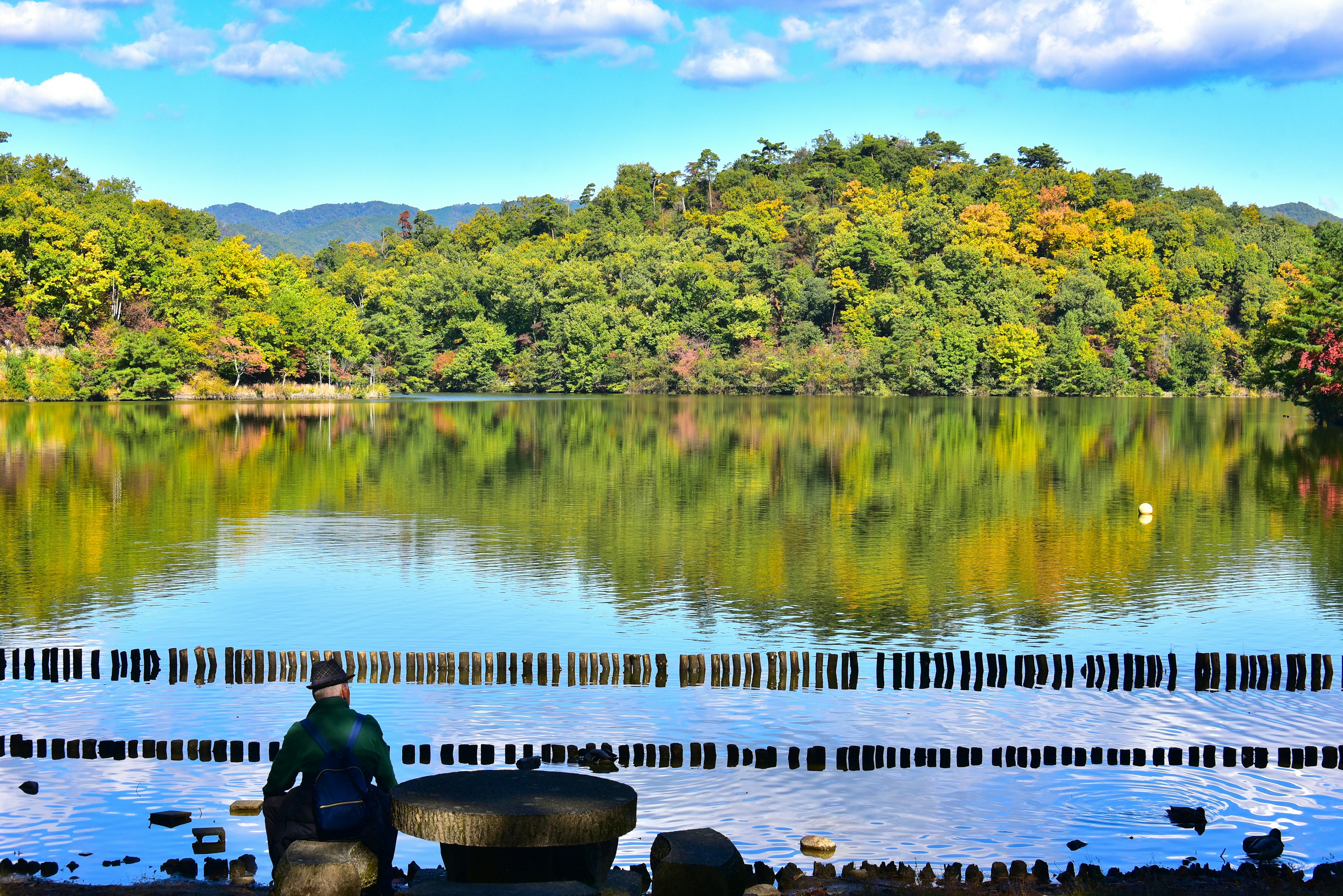 湖の前に座る人と色とりどりの樹木の反射がある風景