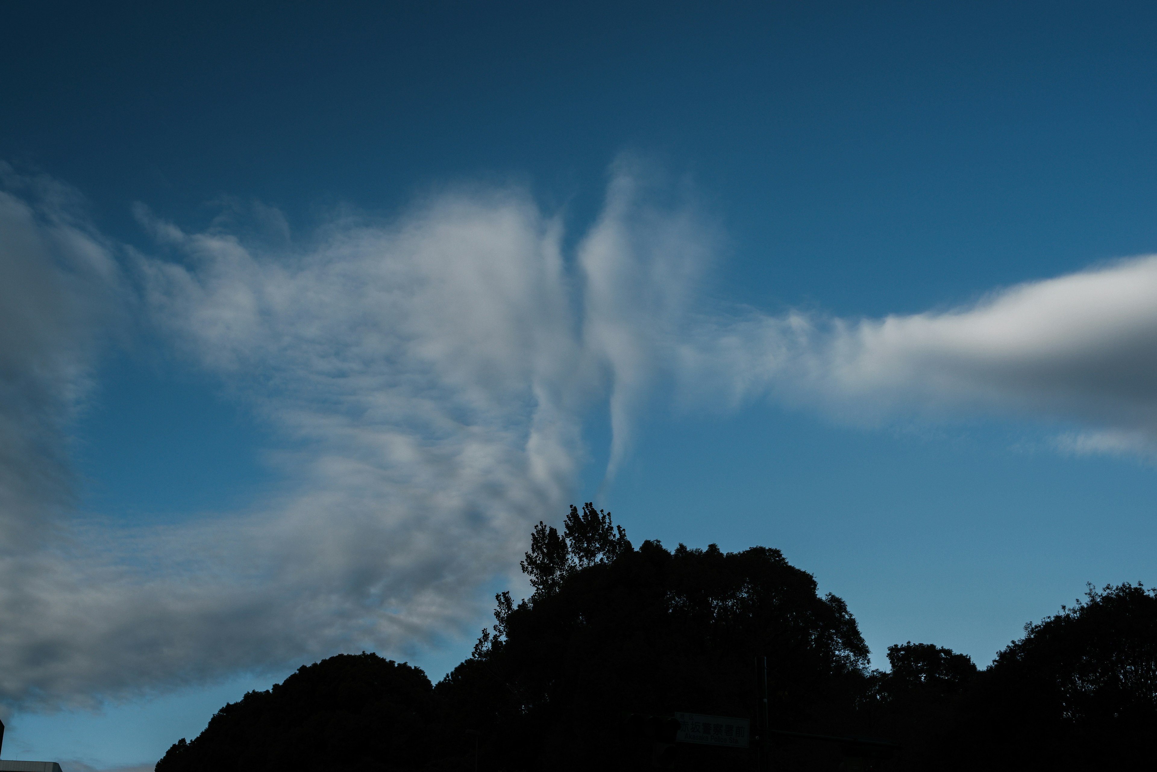 Formazioni nuvolose uniche in un cielo blu con alberi in silhouette