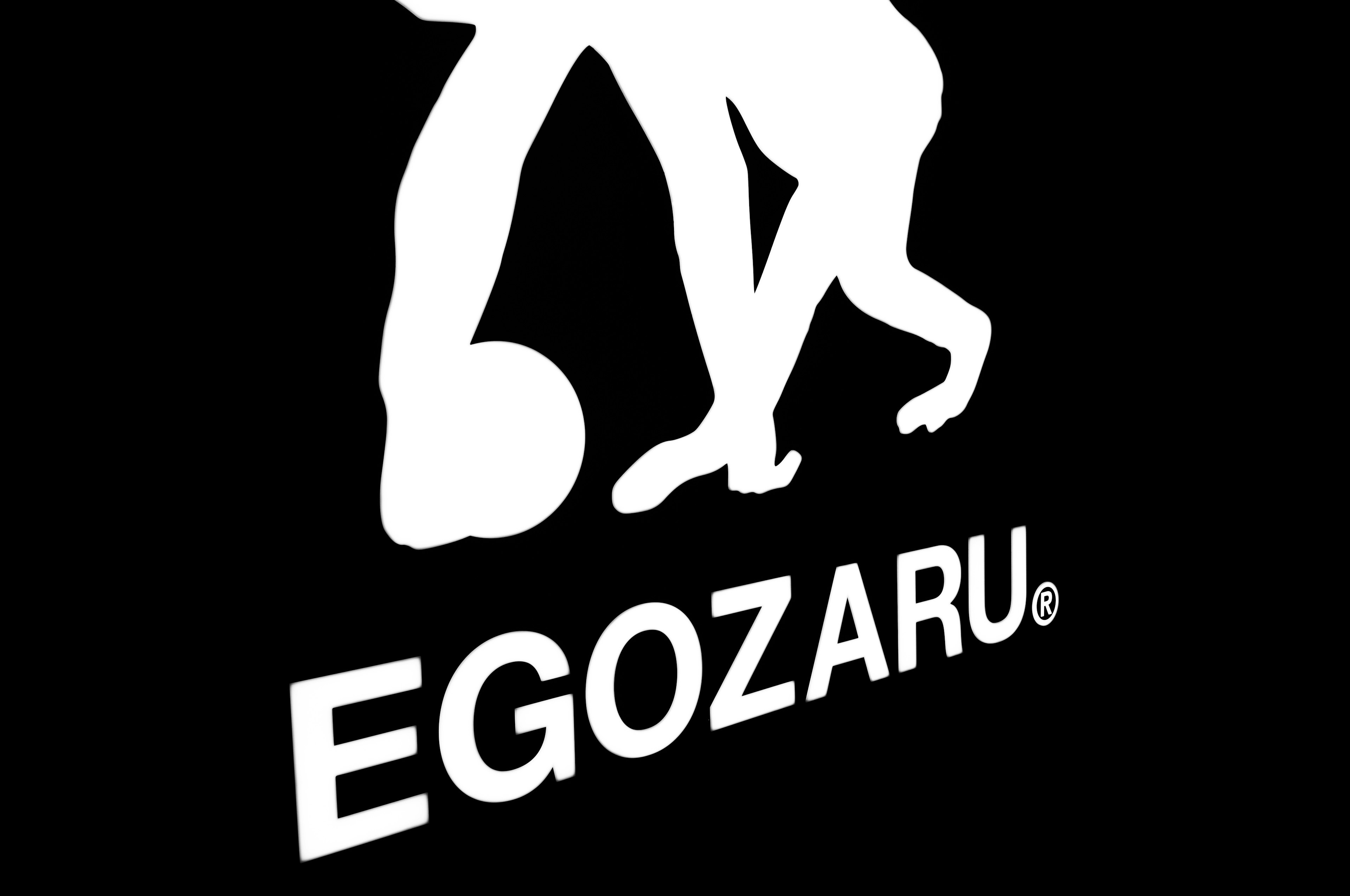 EGOZARU的标志，白色轮廓的人物正在拿着一个球