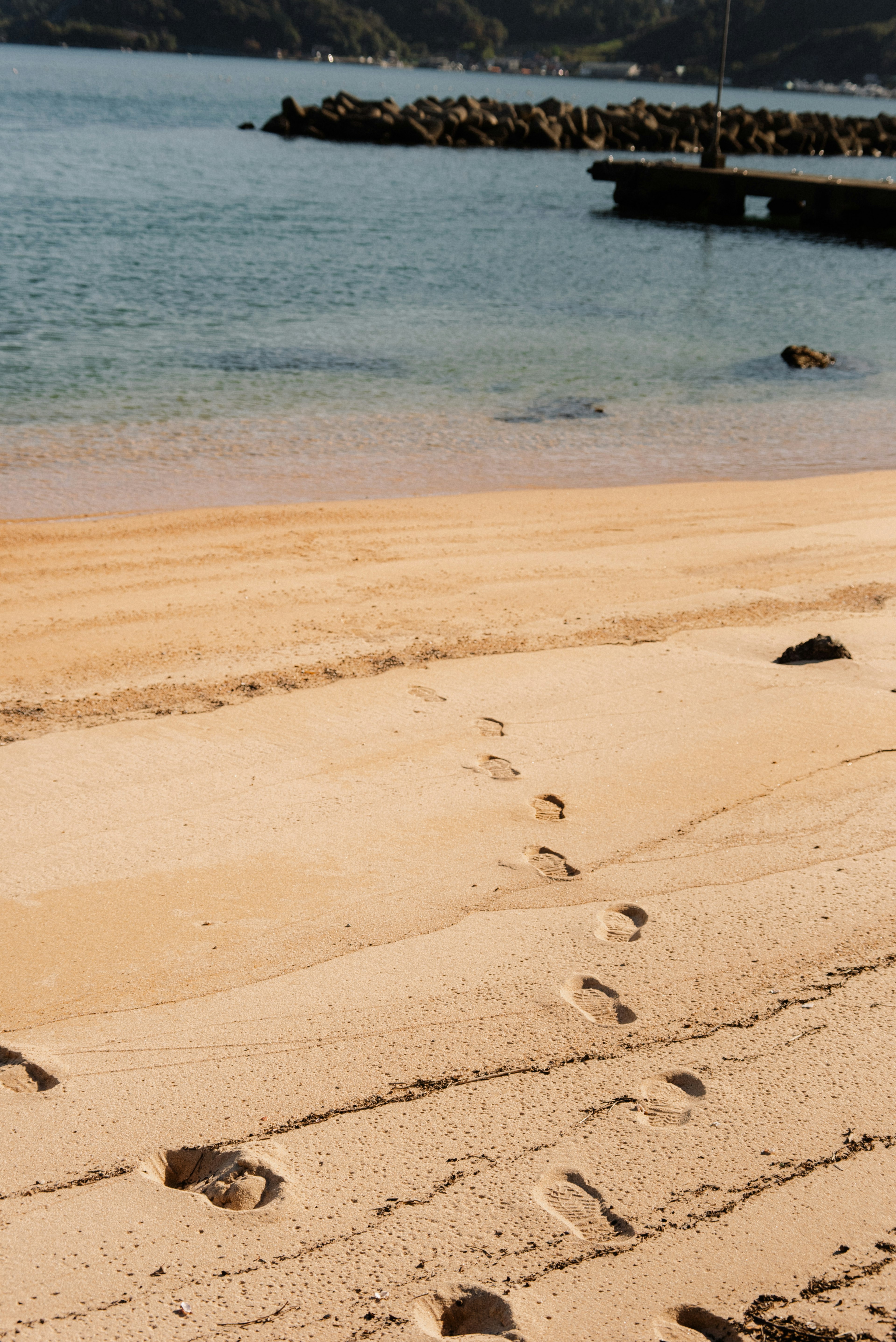 砂浜に残された足跡と穏やかな海の景色