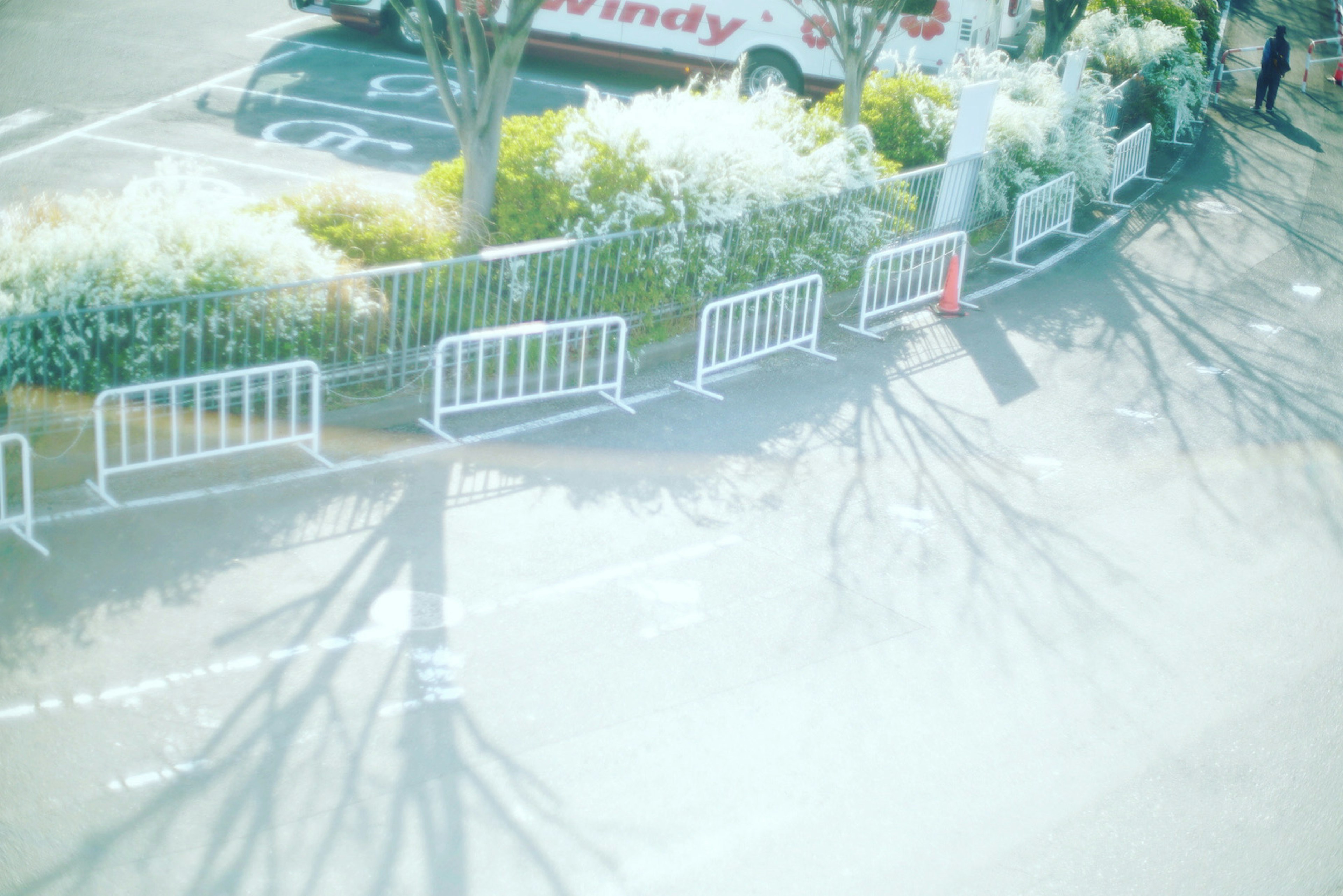 道路沿いの白いバリケードと影のある木々の風景