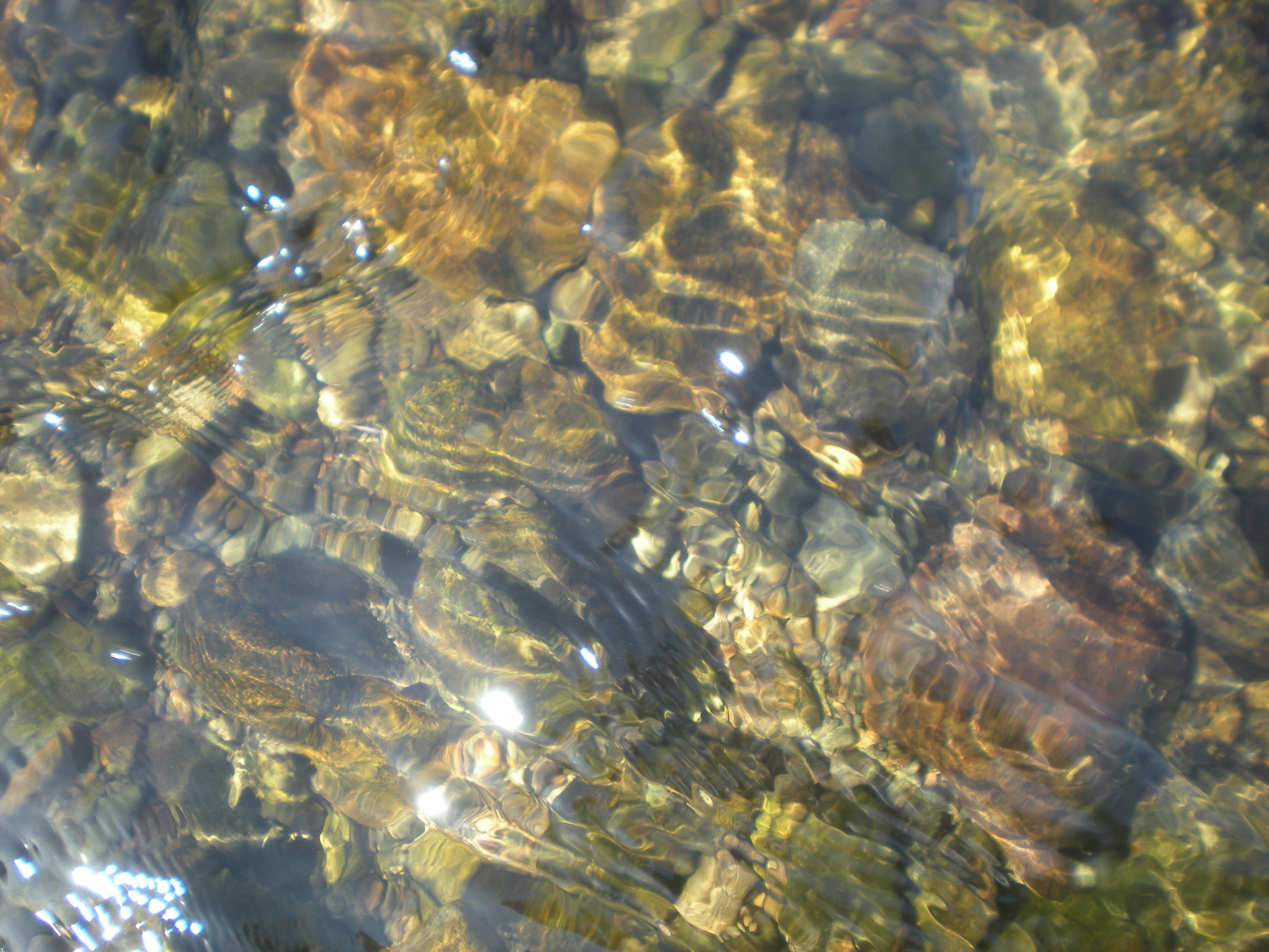 Agua clara que revela piedras y plantas acuáticas bajo la superficie