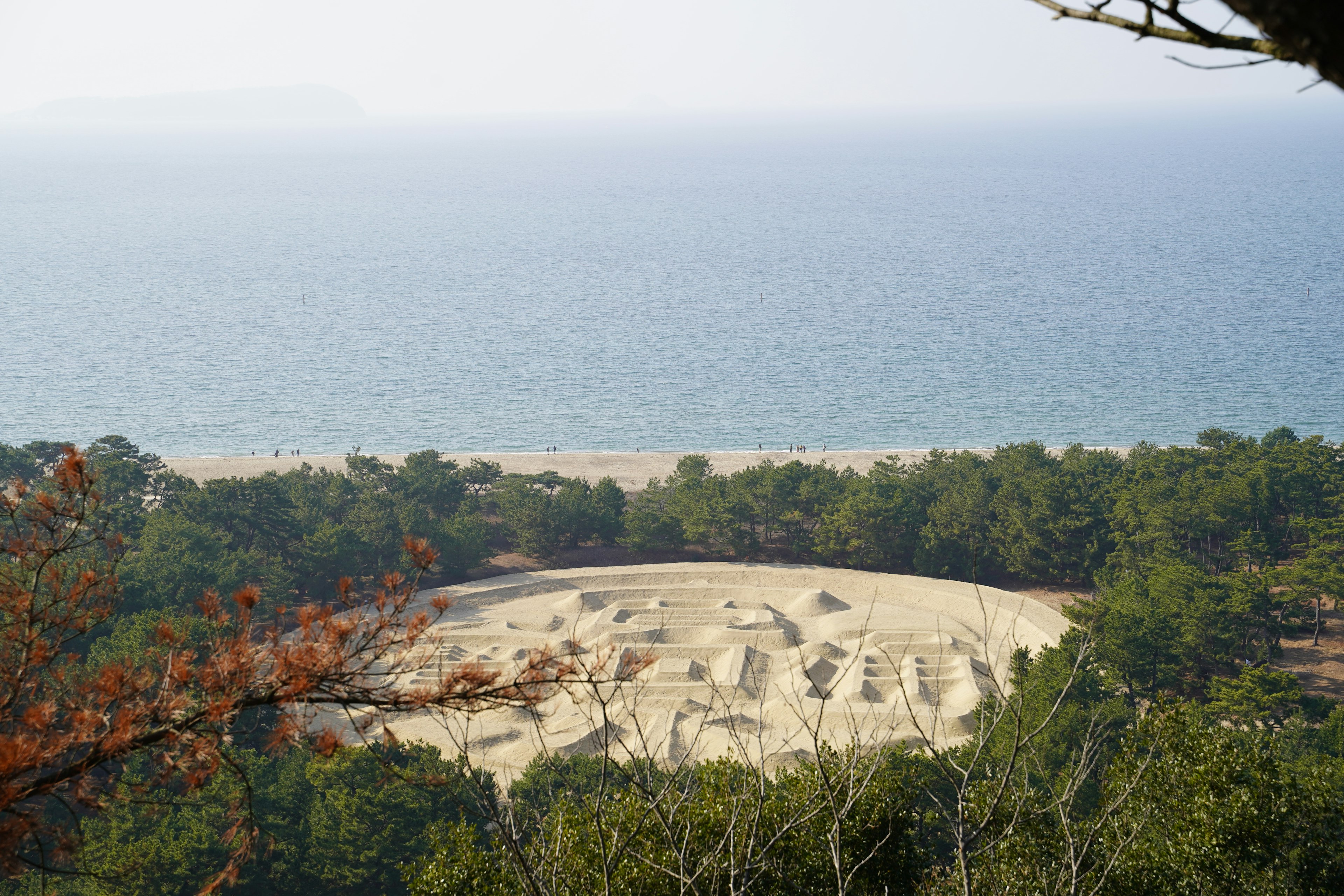 Circular sand structure surrounded by forest and ocean