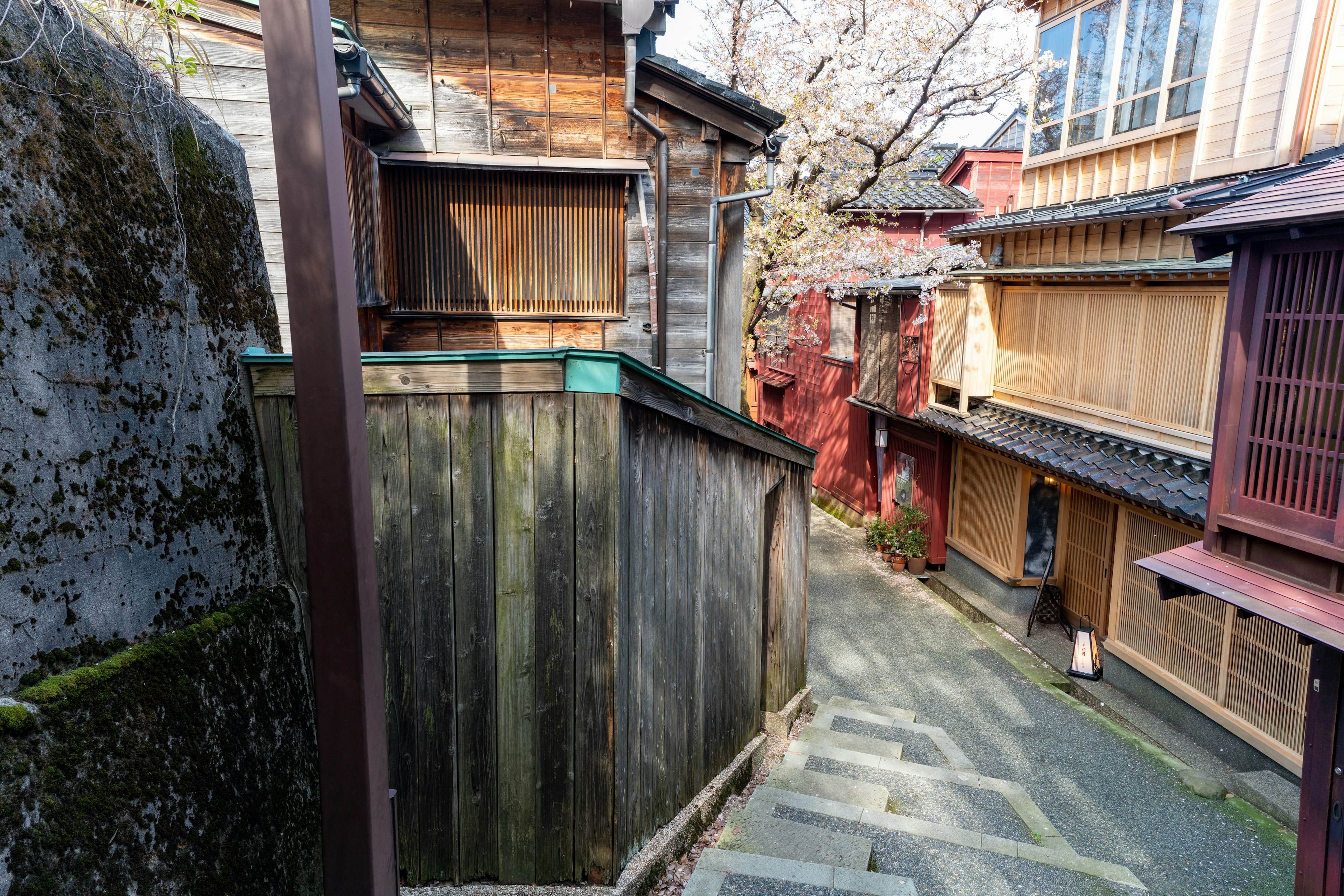 Vista escénica de un callejón japonés tradicional con casas de madera y cerezos en flor