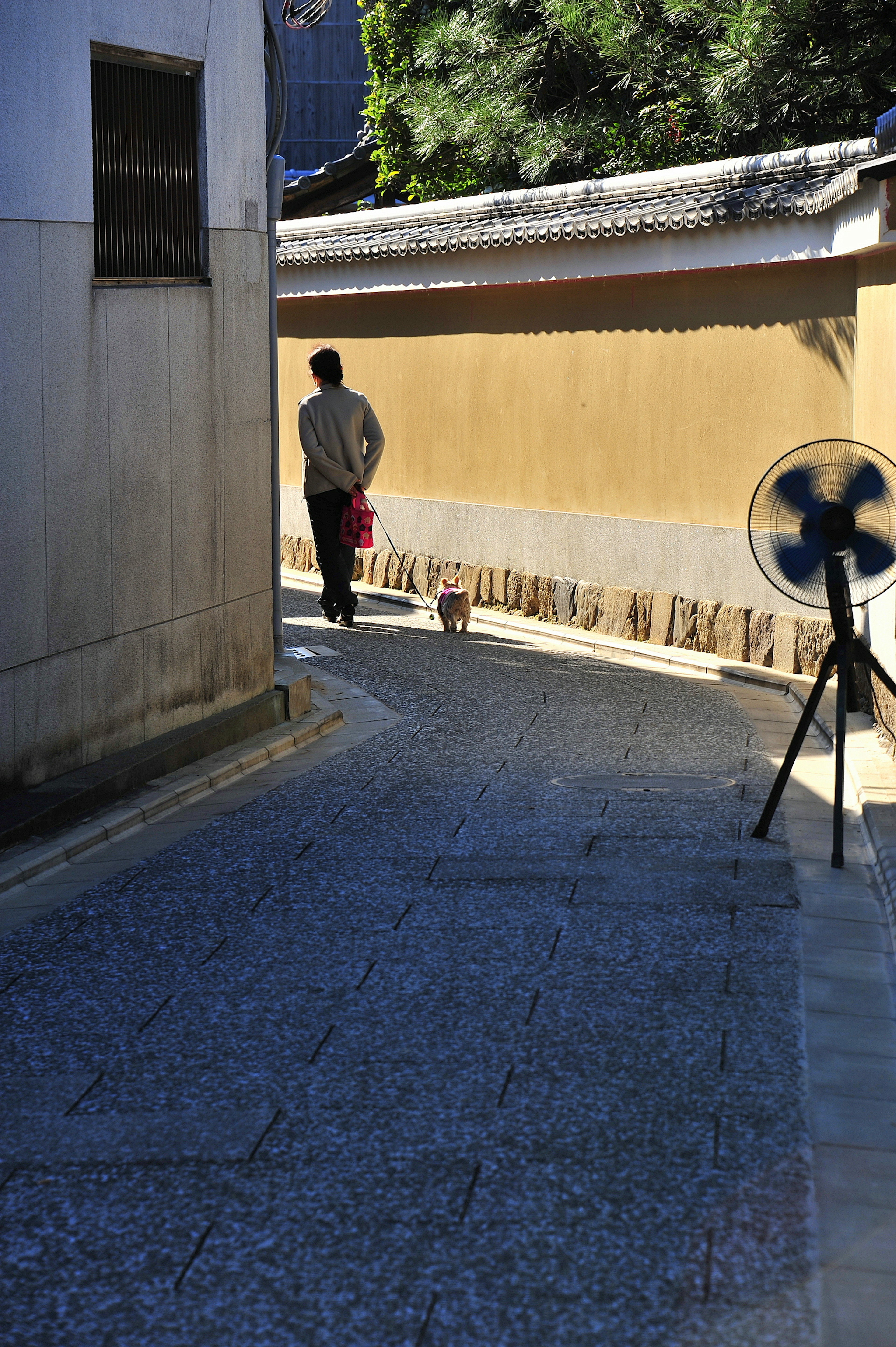 A person walking down a narrow alley with a dog next to a yellow wall and green trees in the background