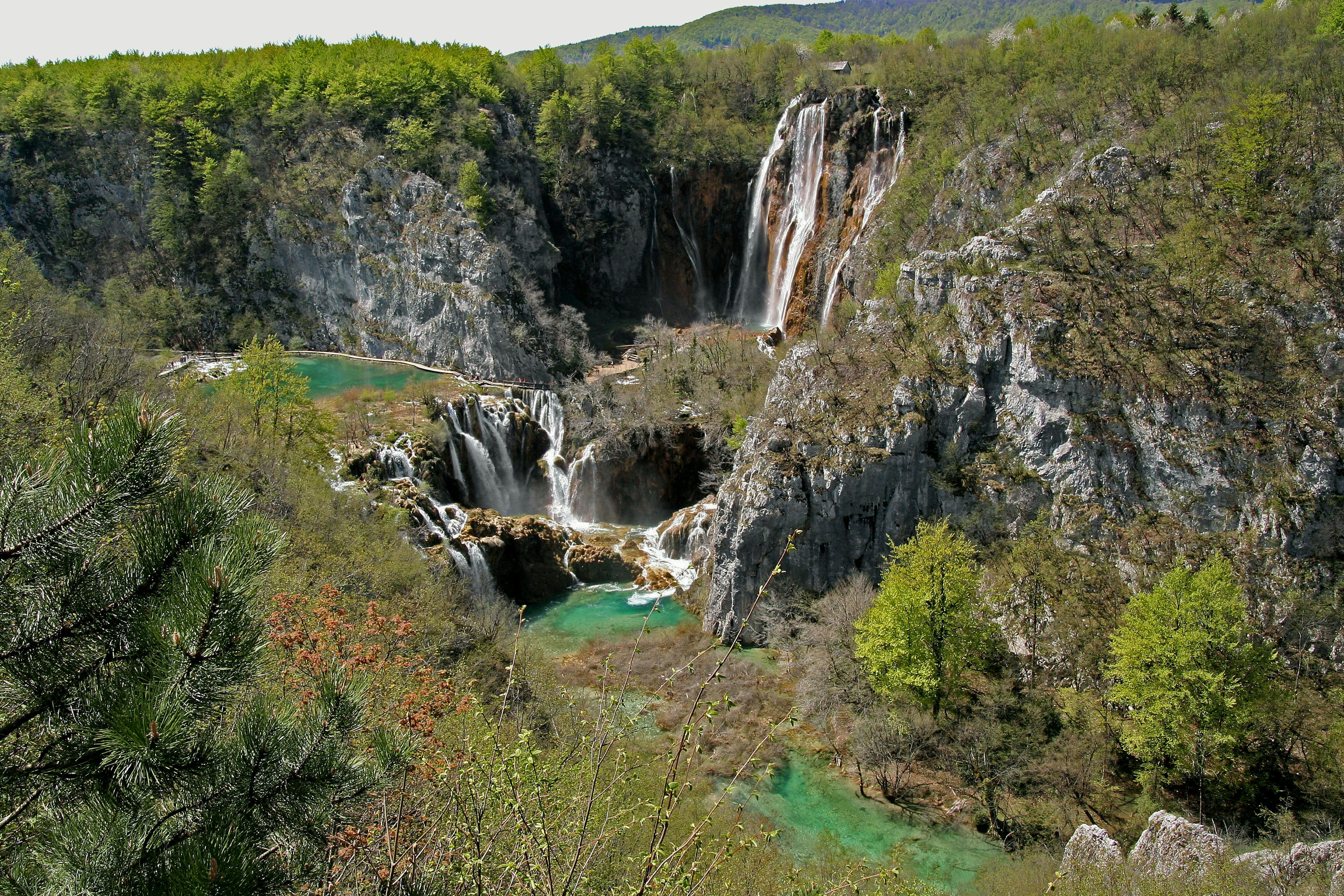 Vue pittoresque de chutes d'eau entourées d'une verdure luxuriante