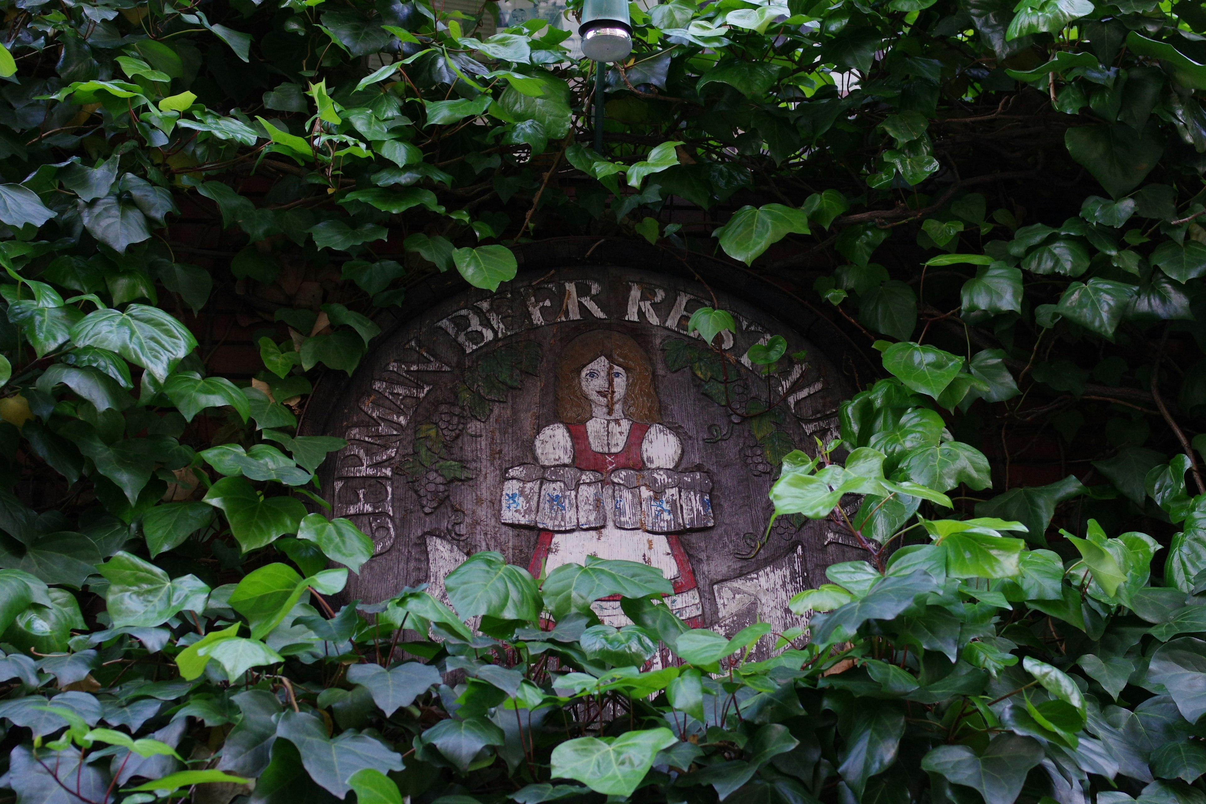 An old beer hall sign surrounded by green ivy