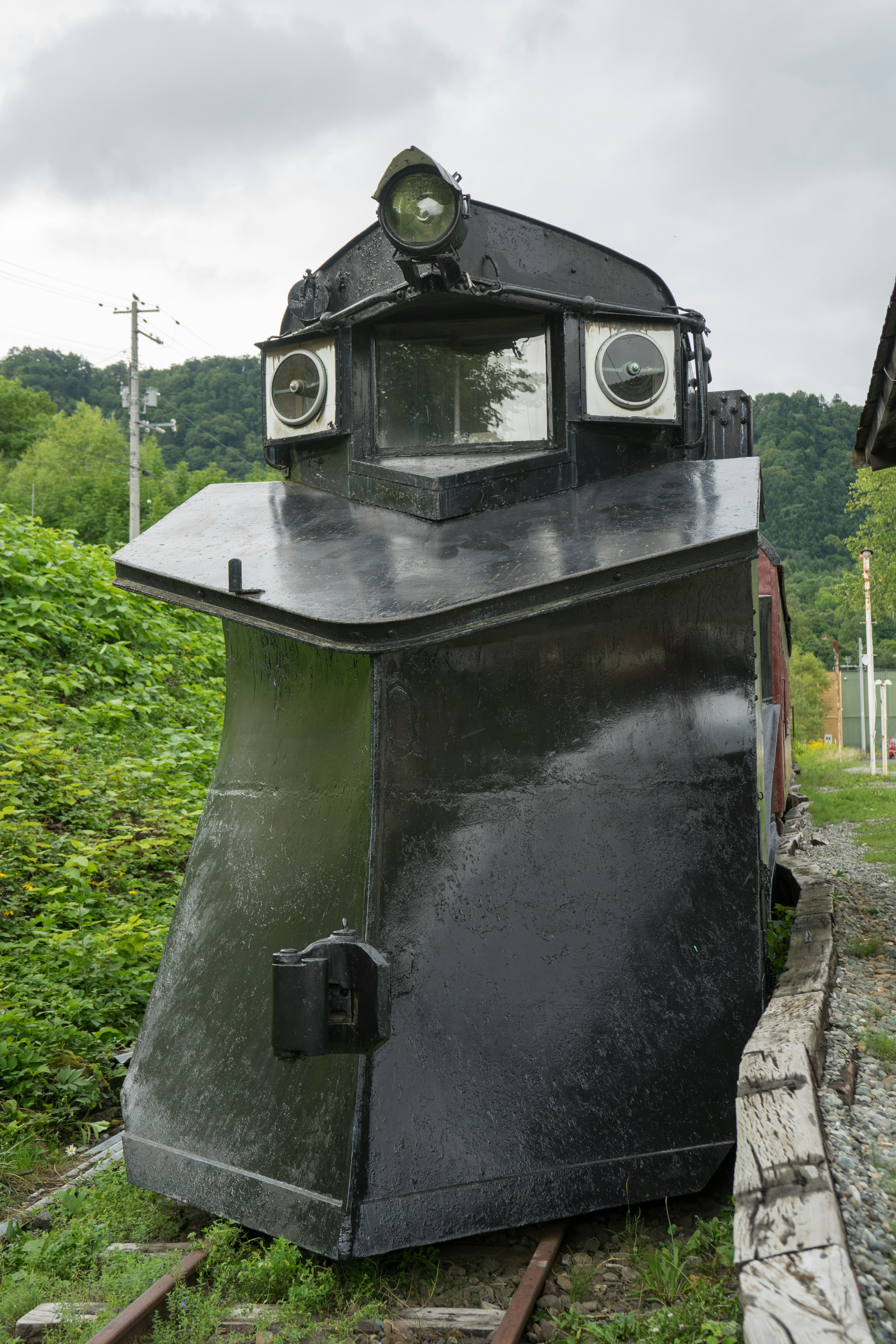 黒い雪かき機の先端が見える鉄道車両が緑の背景に立っている