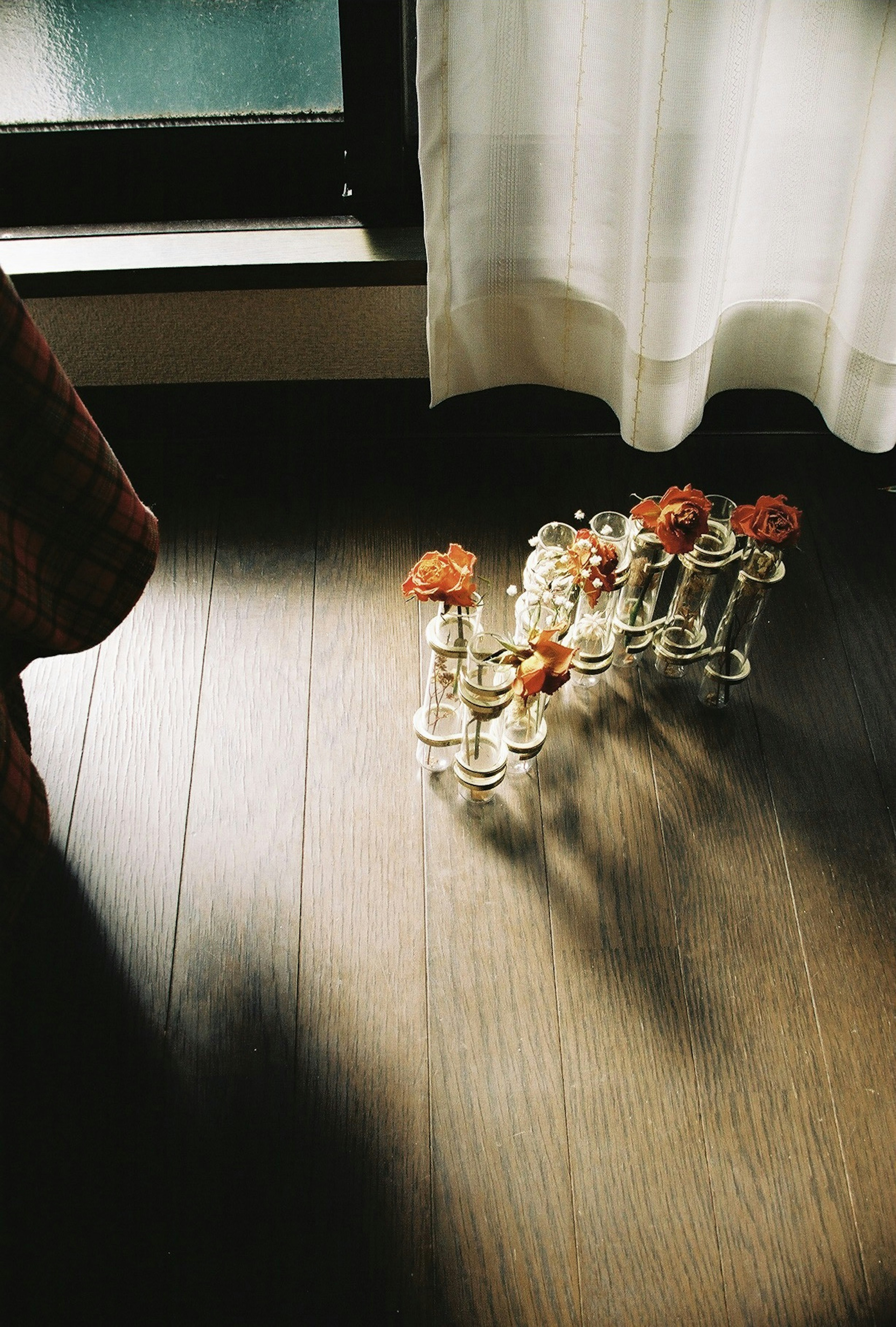 A small arrangement of glass vases with orange flowers positioned by a window