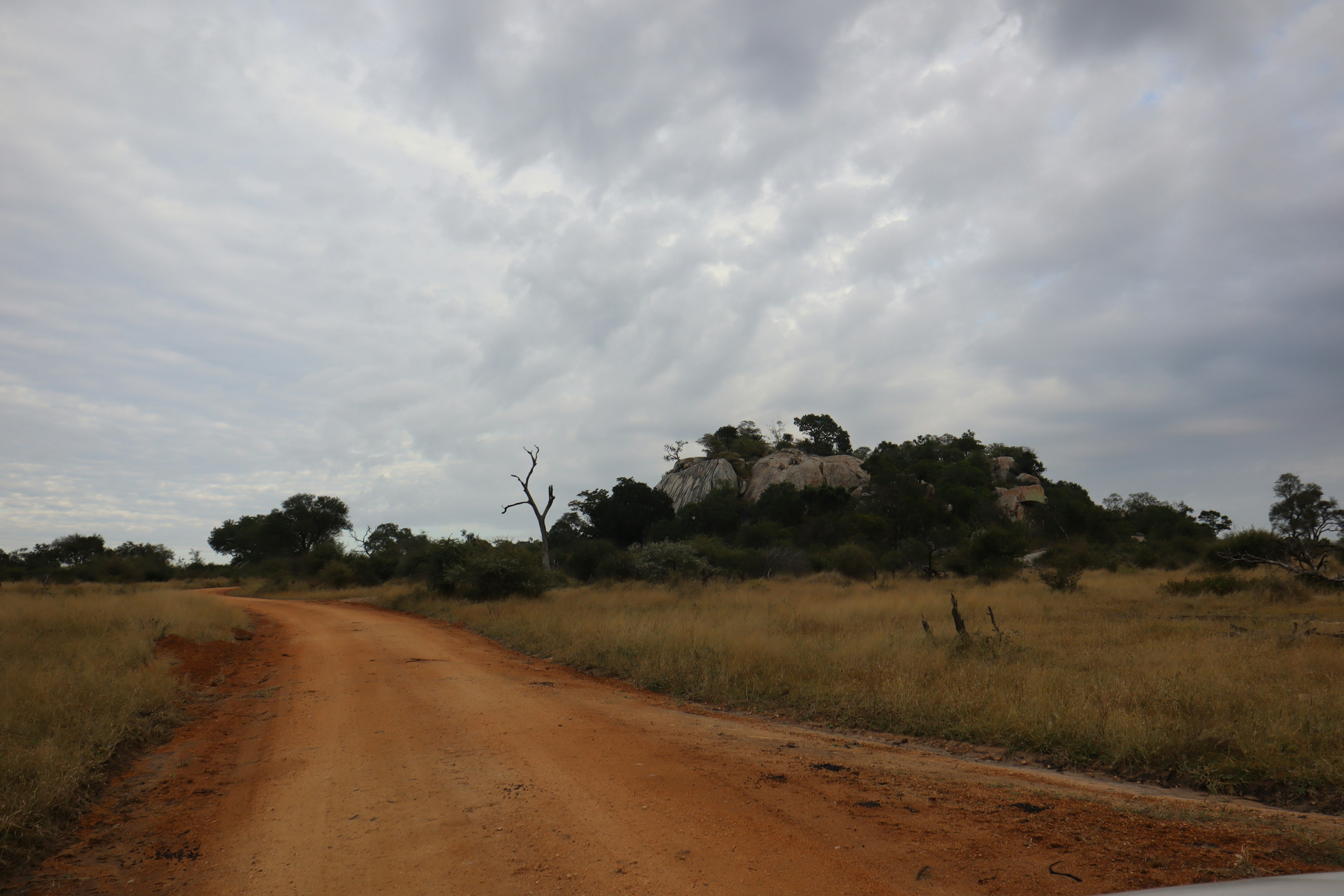 Scenic view of a dirt road leading to a hill surrounded by grasslands