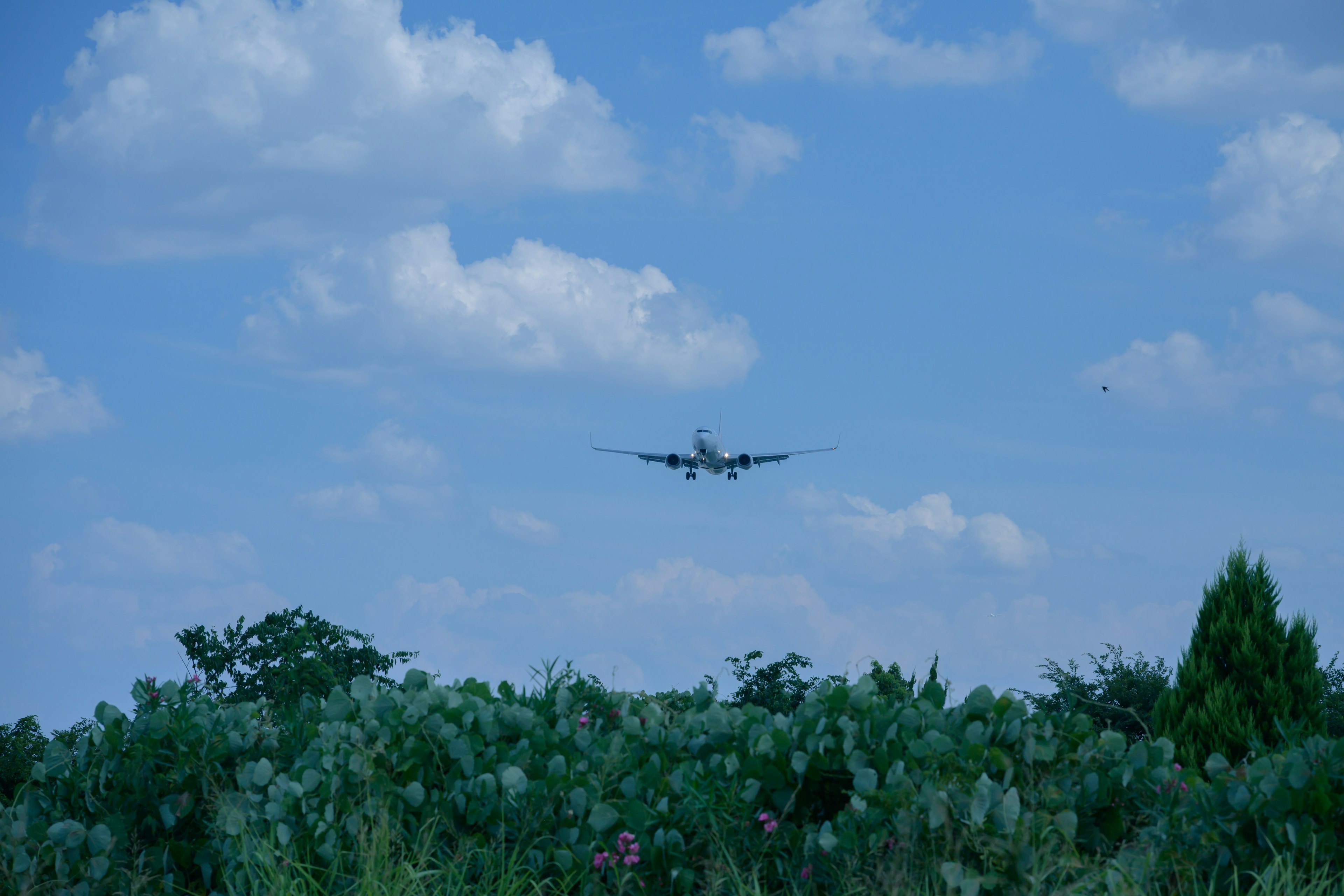 Ein Flugzeug fliegt niedrig gegen einen blauen Himmel mit Wolken