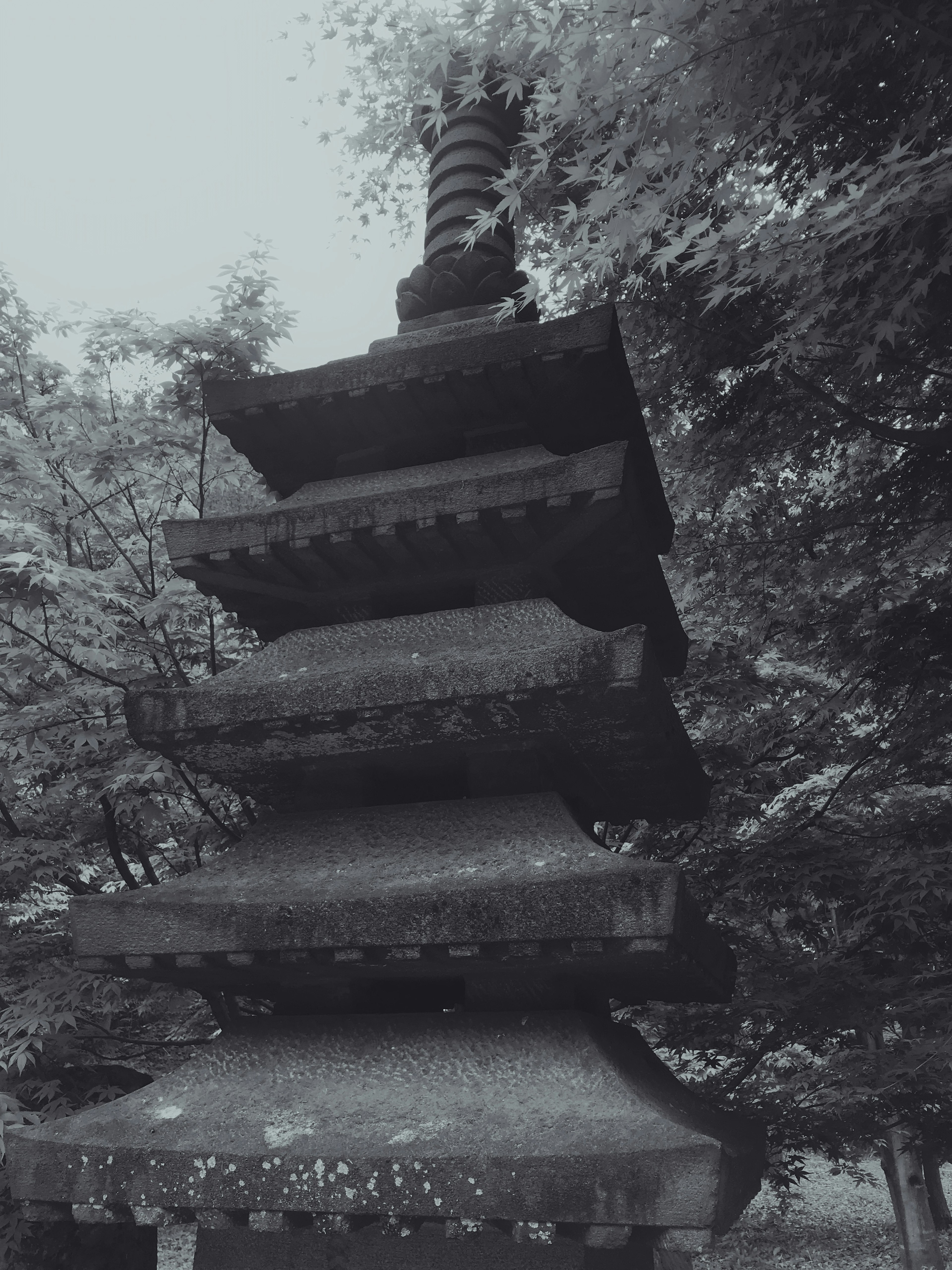 Schwarz-Weiß-Foto einer alten Pagode umgeben von Grün