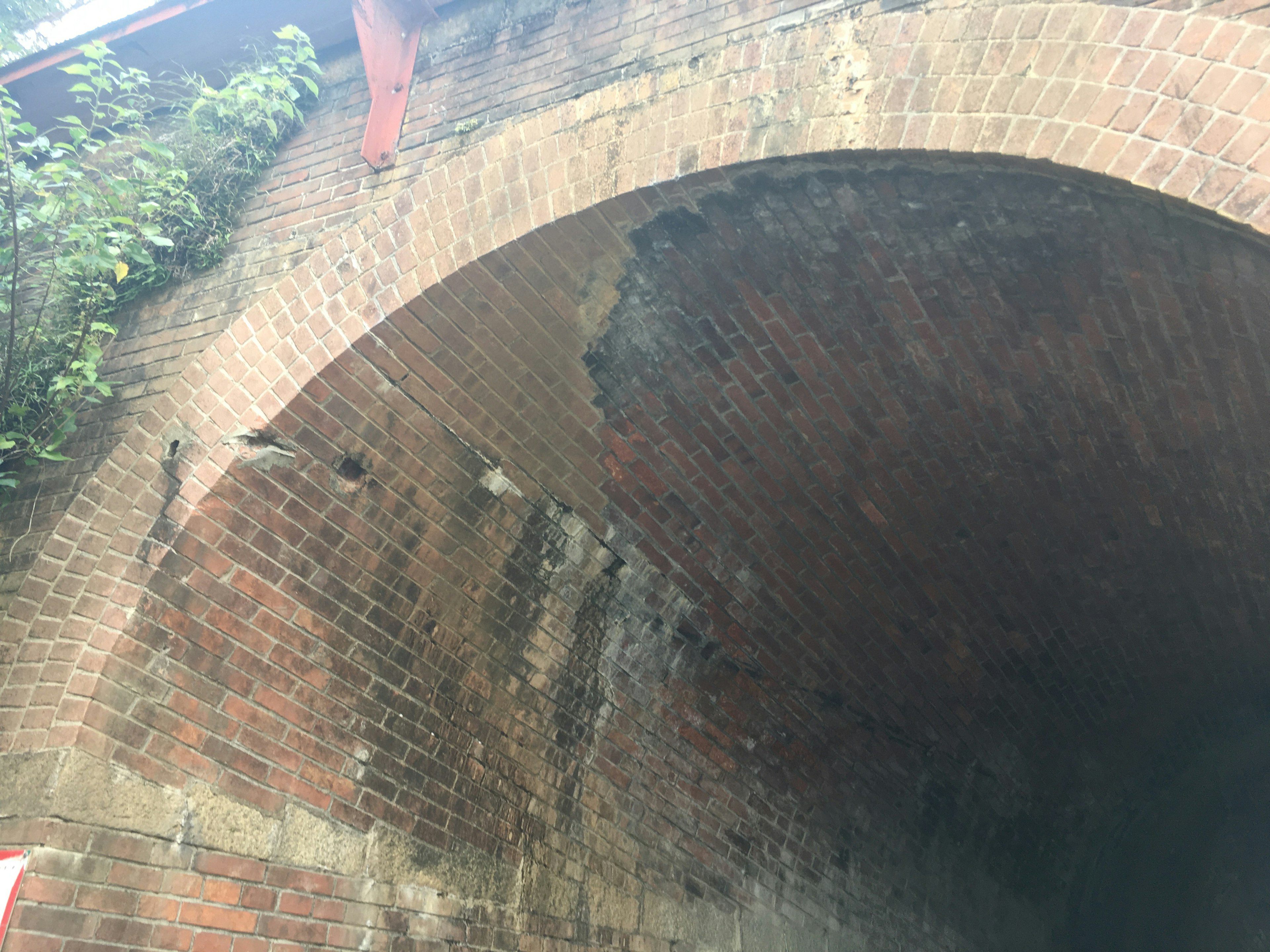 Interior view of an old brick tunnel arch with moss and plants