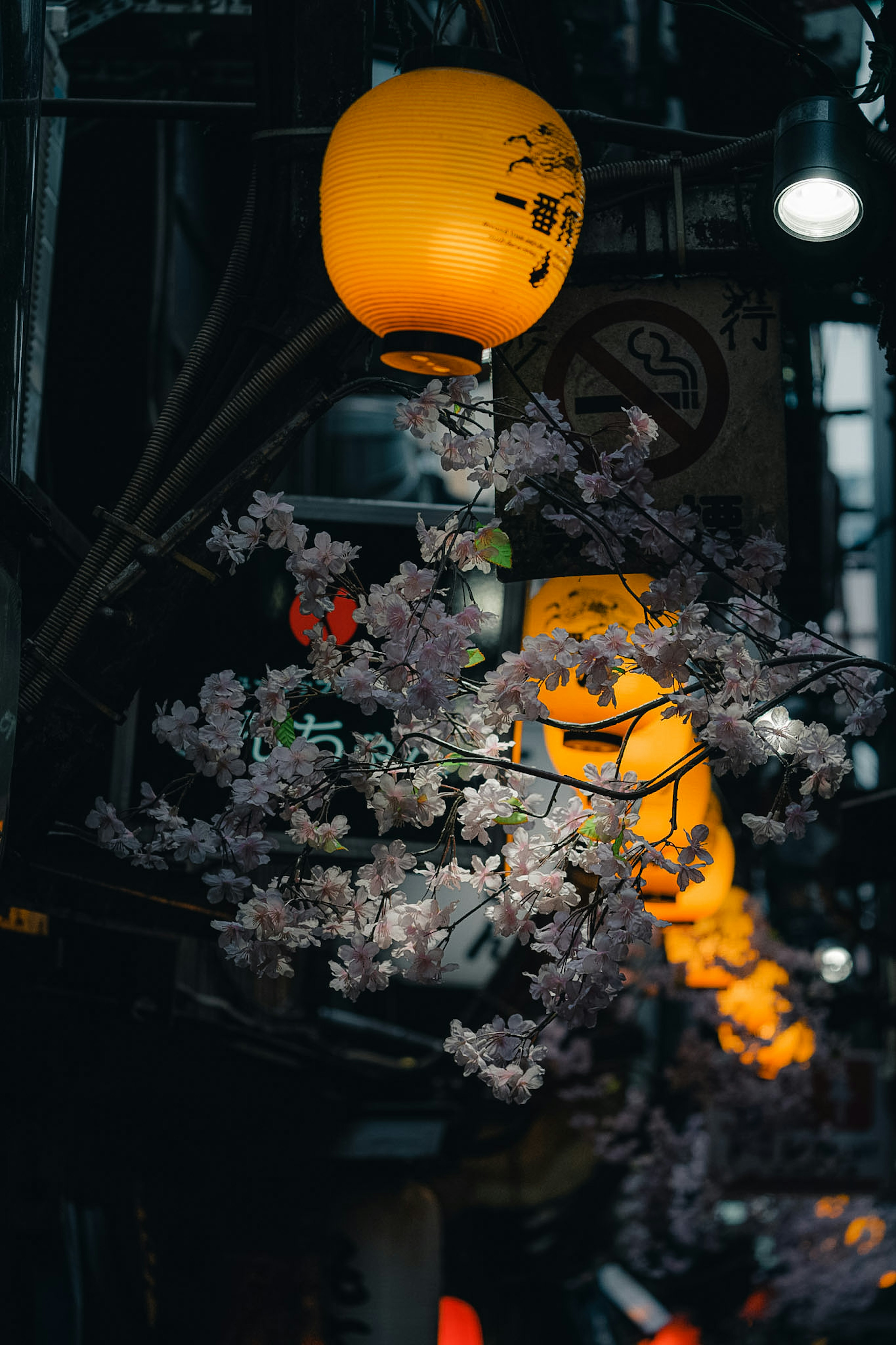 Faroles naranjas y flores de cerezo en un ambiente nocturno