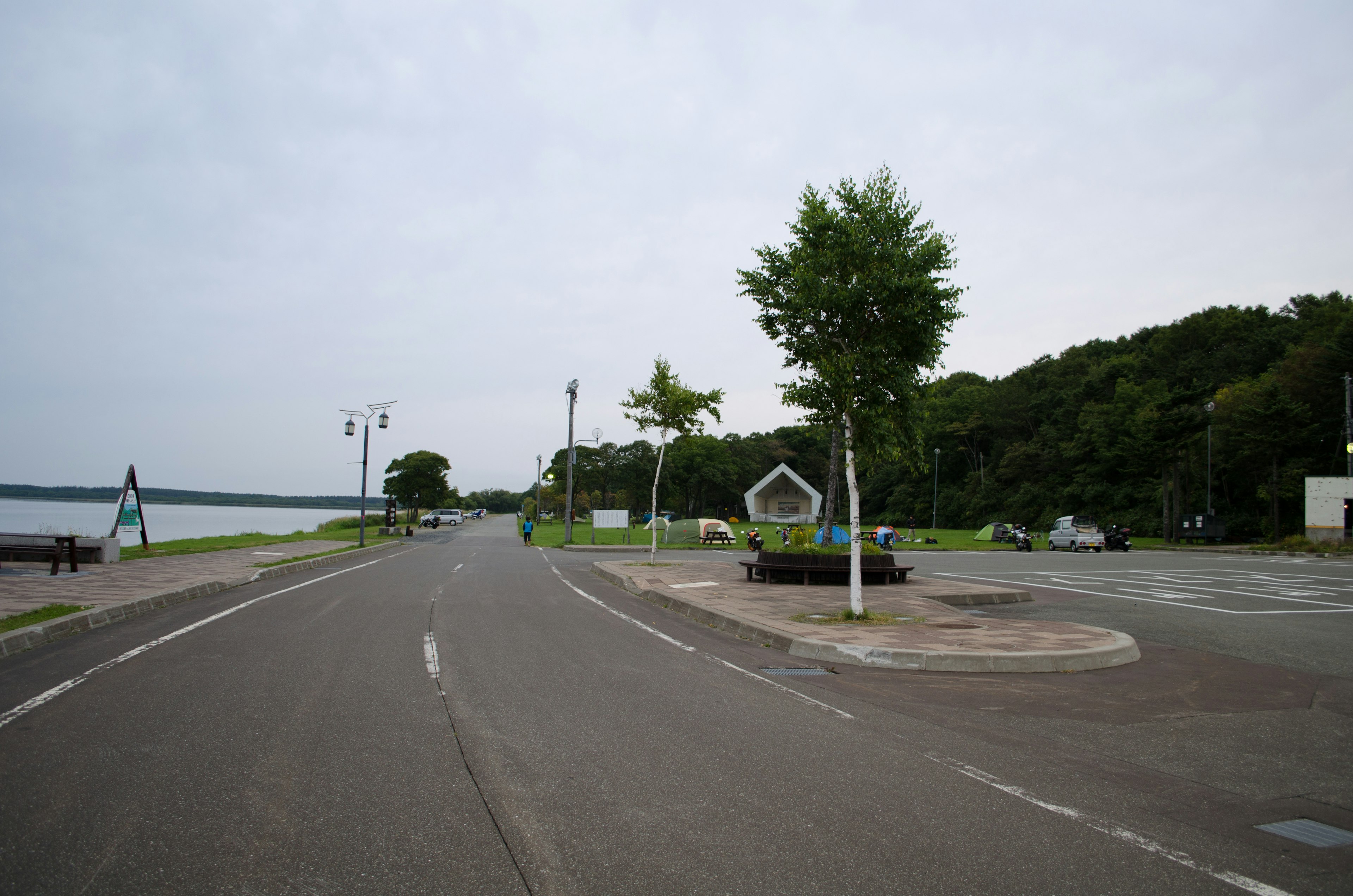 静かな湖畔の風景と緑の木々