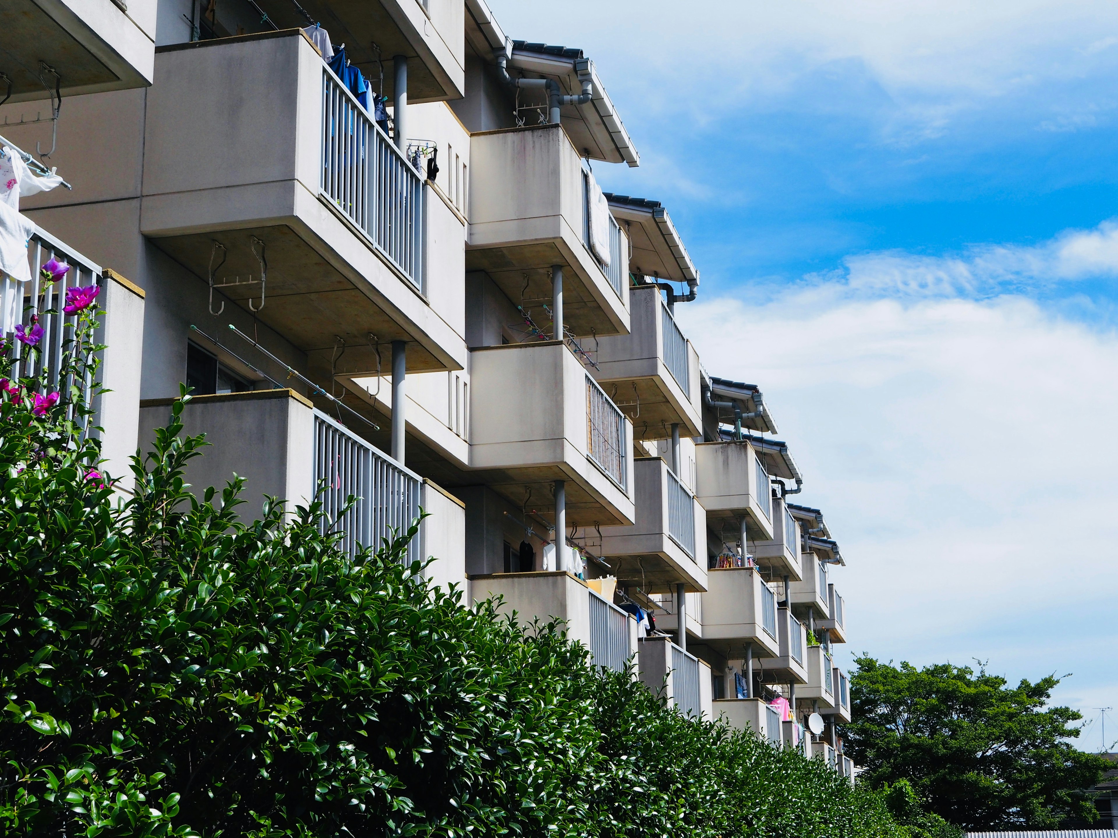 Balkon apartemen modern berjejer di bawah langit biru cerah dengan dedaunan hijau