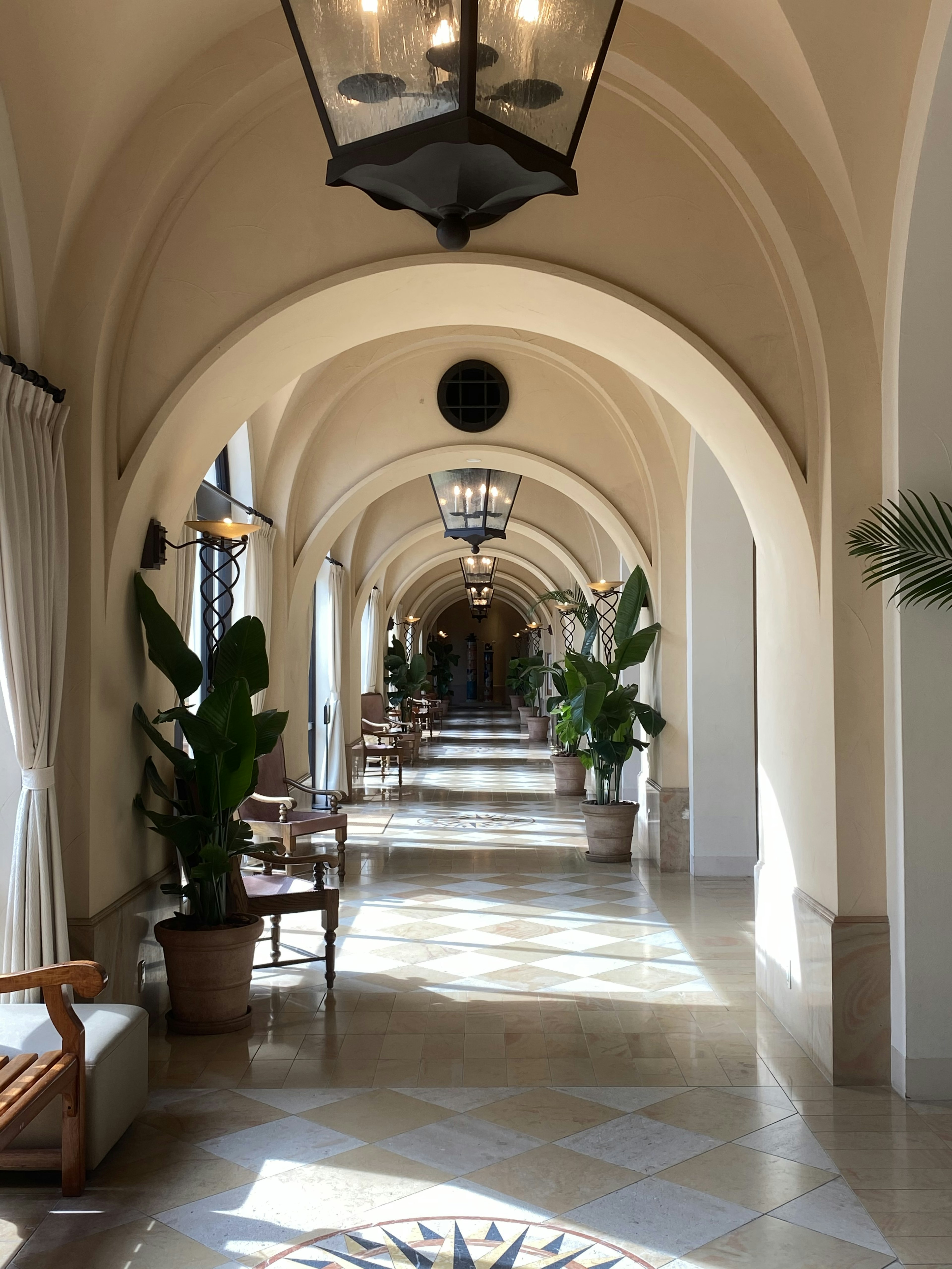 Elegante corridoio ad arco con piante in vaso e lampadari