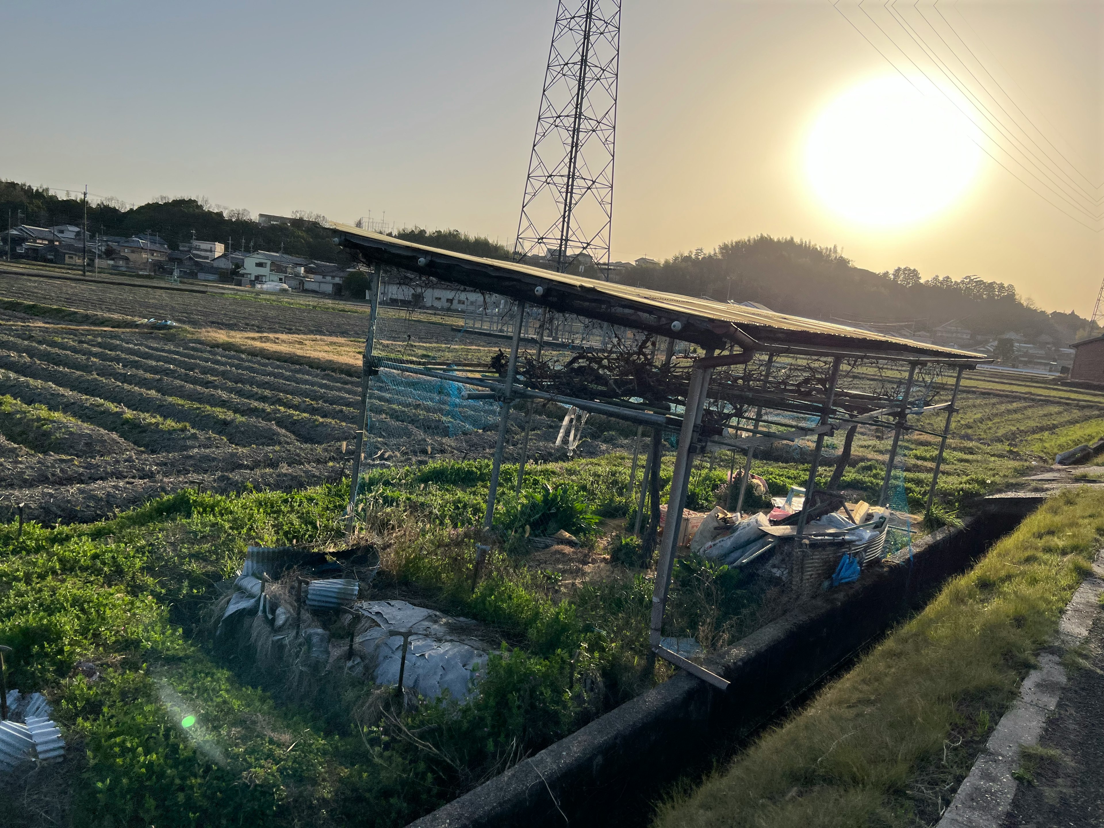 夕日が照らす農場の風景と作業小屋