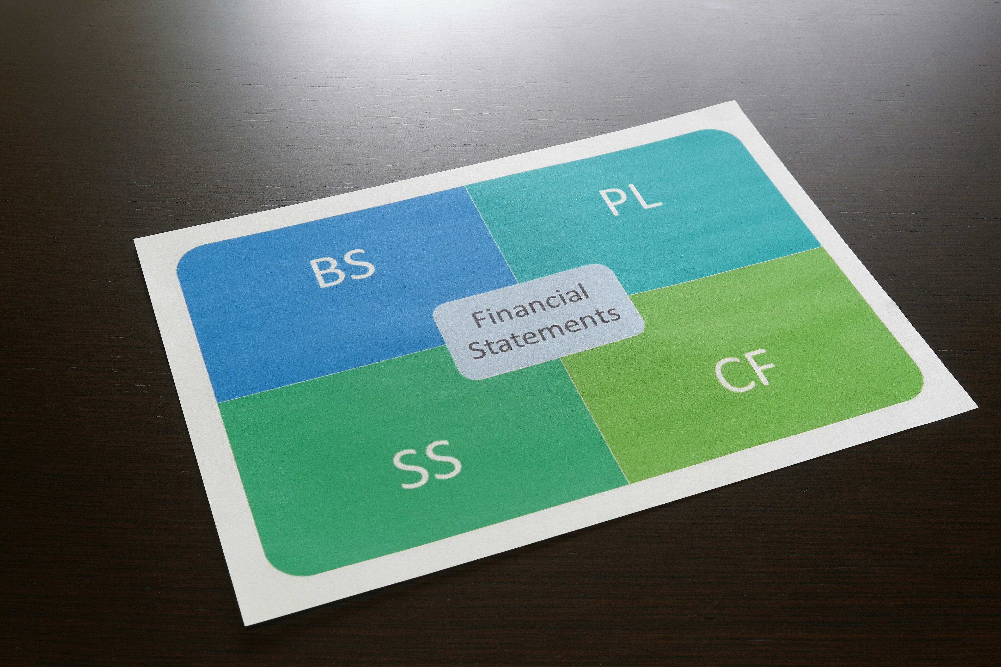 Grafico che illustra i bilanci finanziari divisi in quattro sezioni BS PL SS CF