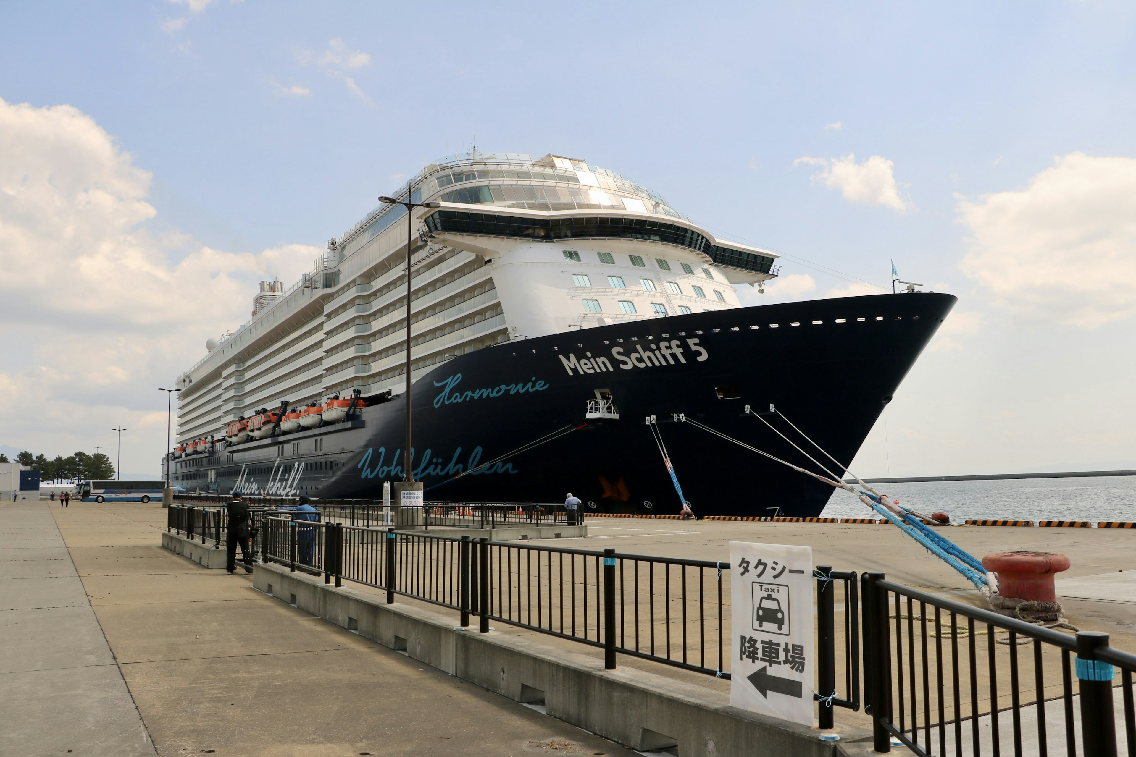 Large cruise ship docked at the harbor