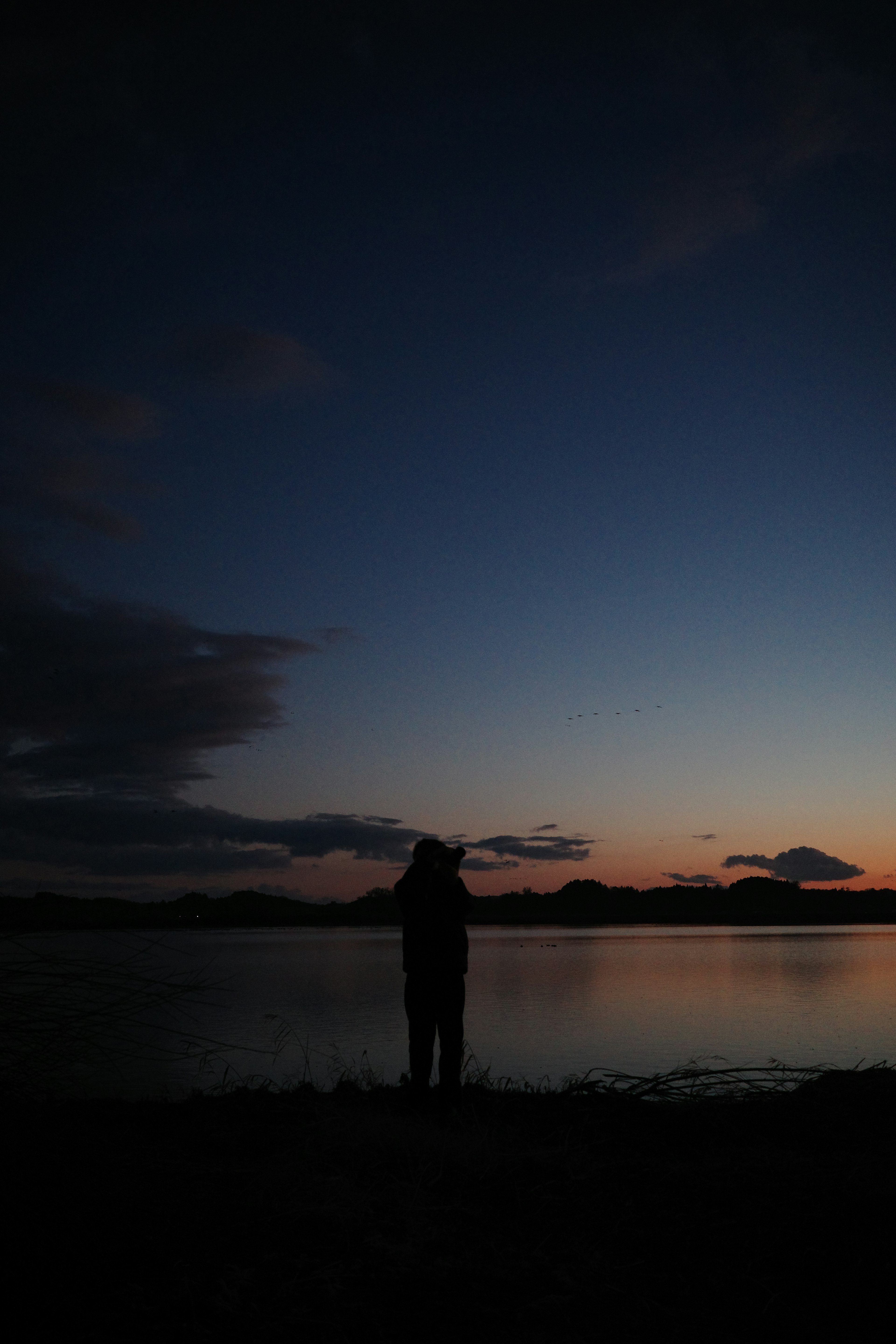 Silhouette of a person standing by a lake at dusk