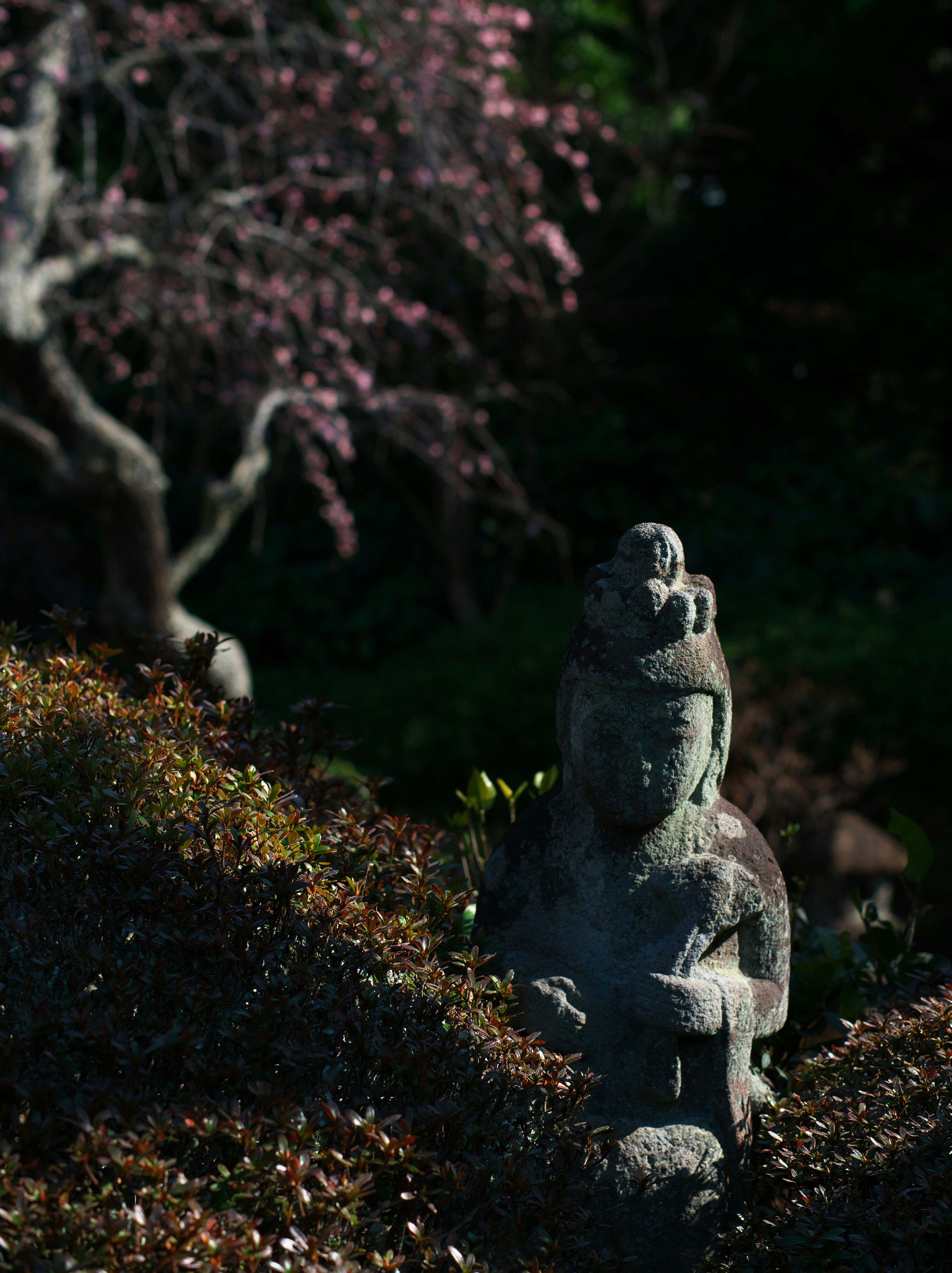 Patung Buddha kuno dikelilingi lumut dan bunga sakura di taman yang tenang