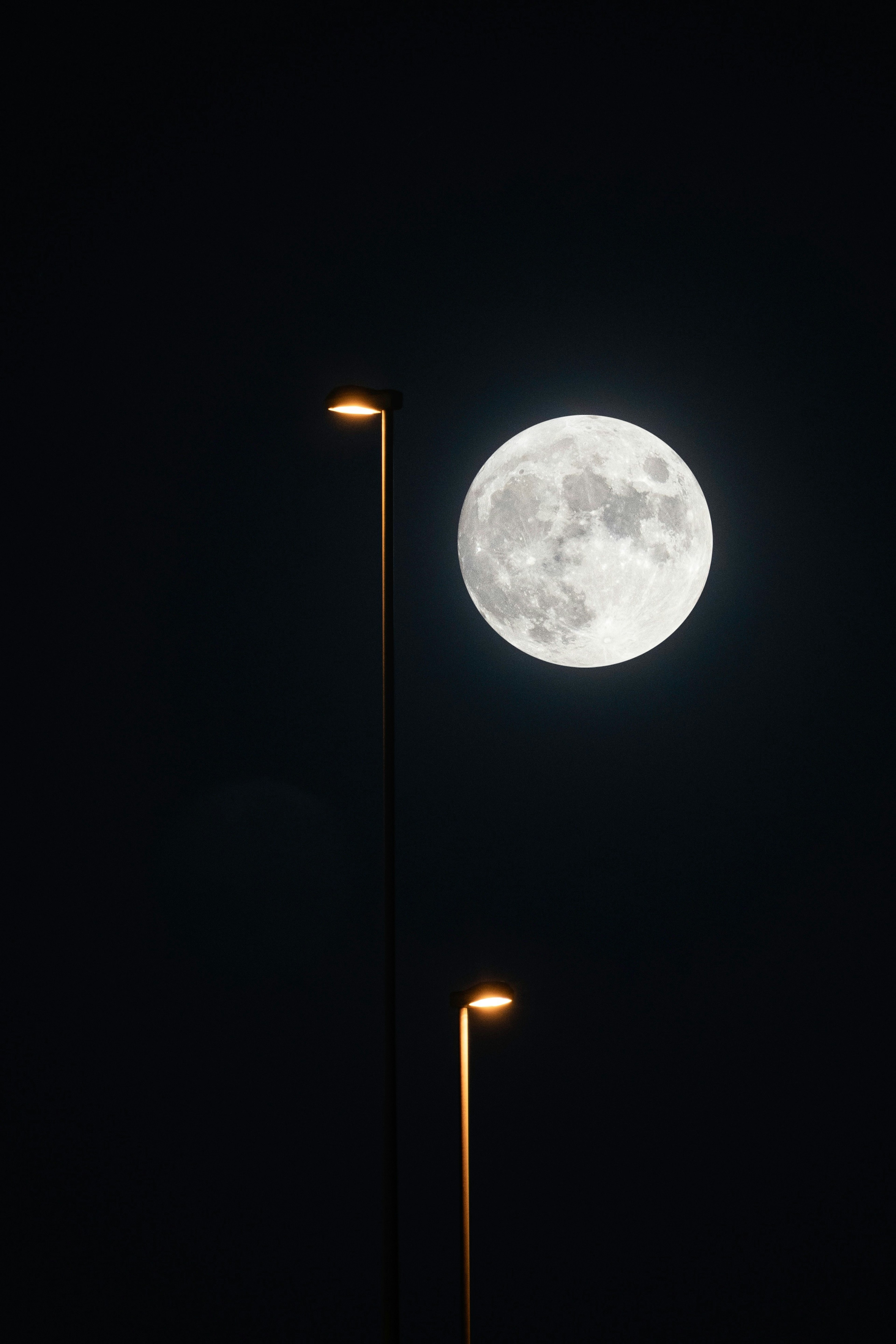 Full moon shining in the night sky with streetlight silhouettes